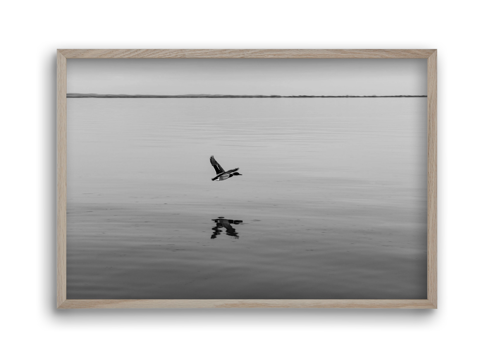 Vertigo , 45x30 cm (45x30 cm), Tölgy keret