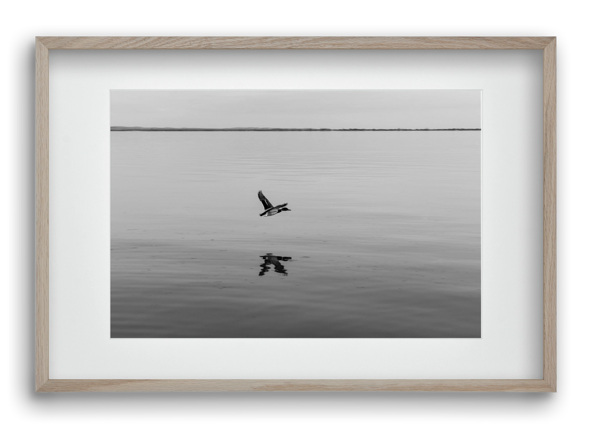 Vertigo , 60x40 cm (45x30 cm), Tölgy keret, paszpartuval