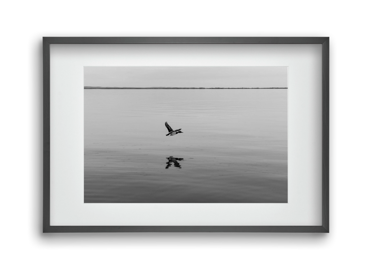 Vertigo , 45x30 cm (30x20 cm), Fekete keret, paszpartuval