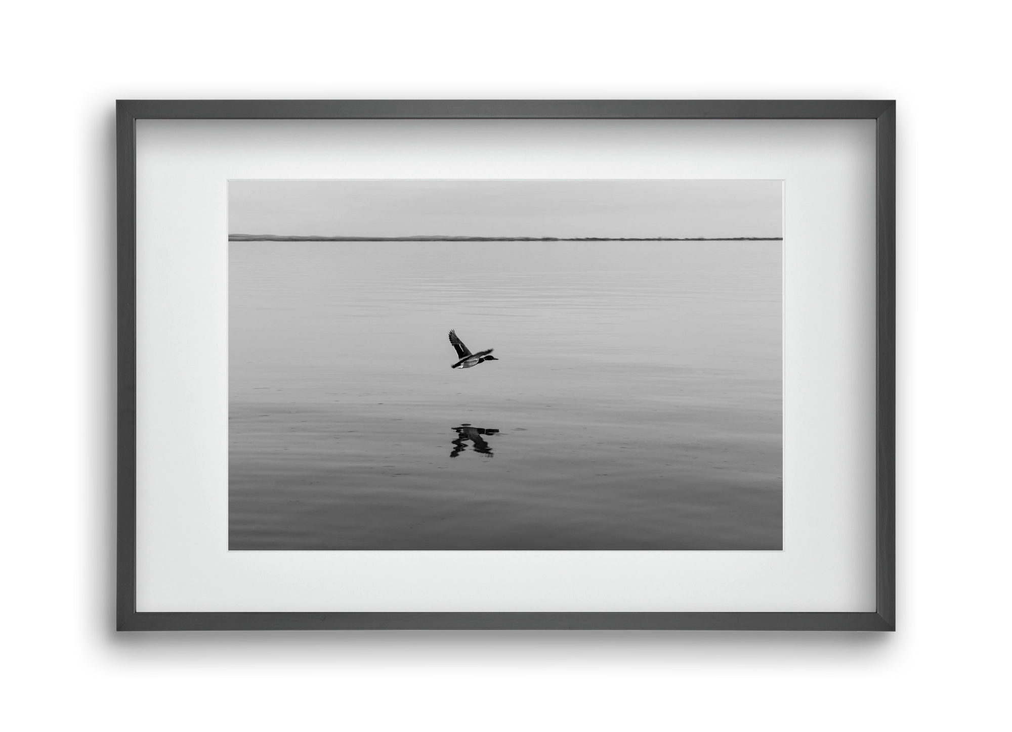 Vertigo , 45x30 cm (30x20 cm), Fekete keret, paszpartuval