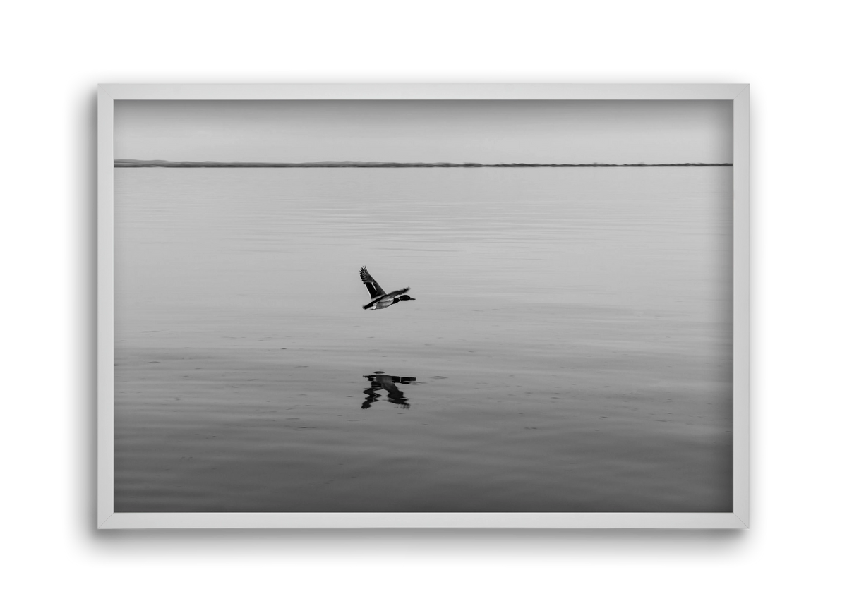 Vertigo , 45x30 cm (45x30 cm), Fehér keret