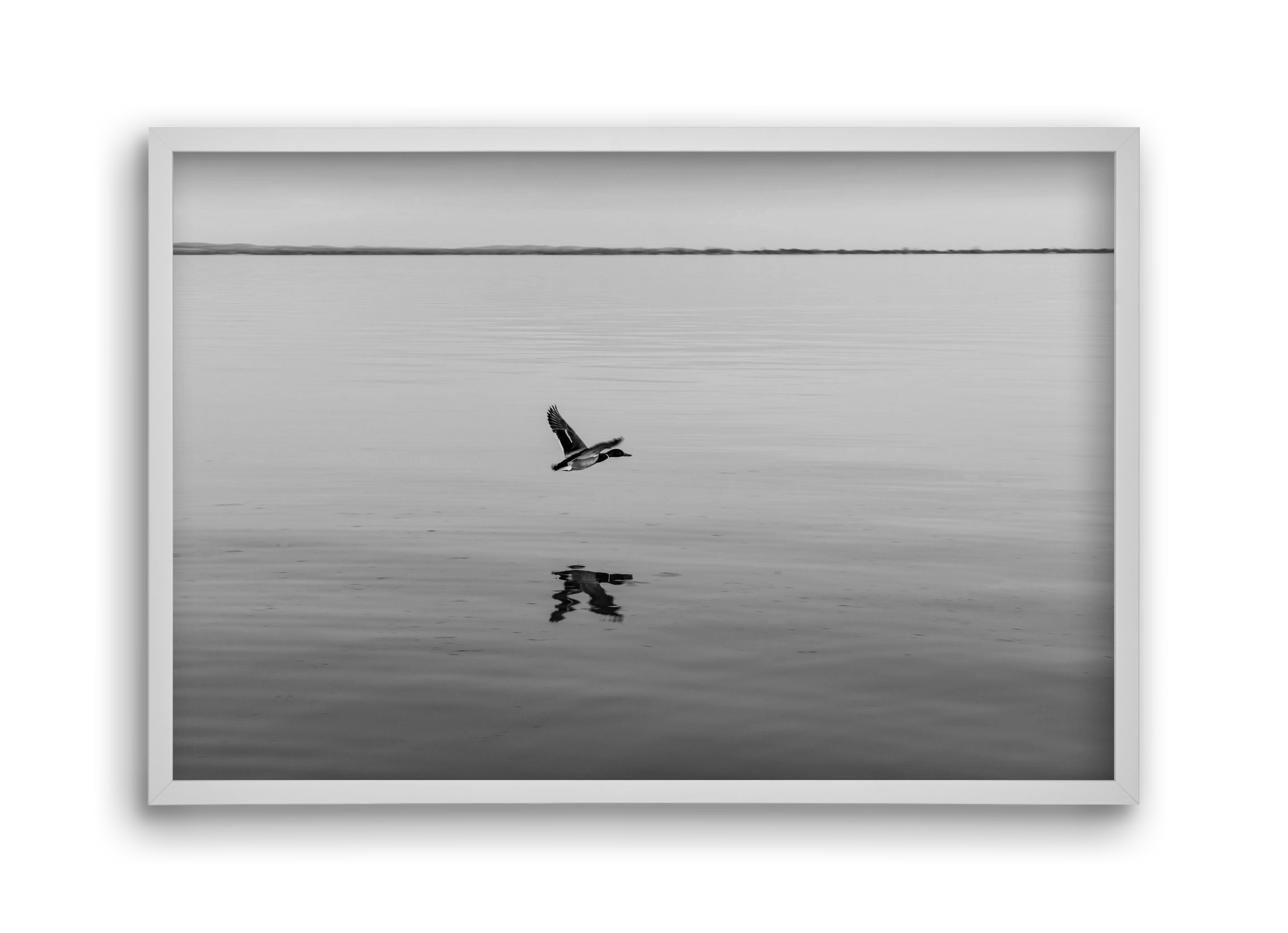 Vertigo , 45x30 cm (45x30 cm), Fehér keret