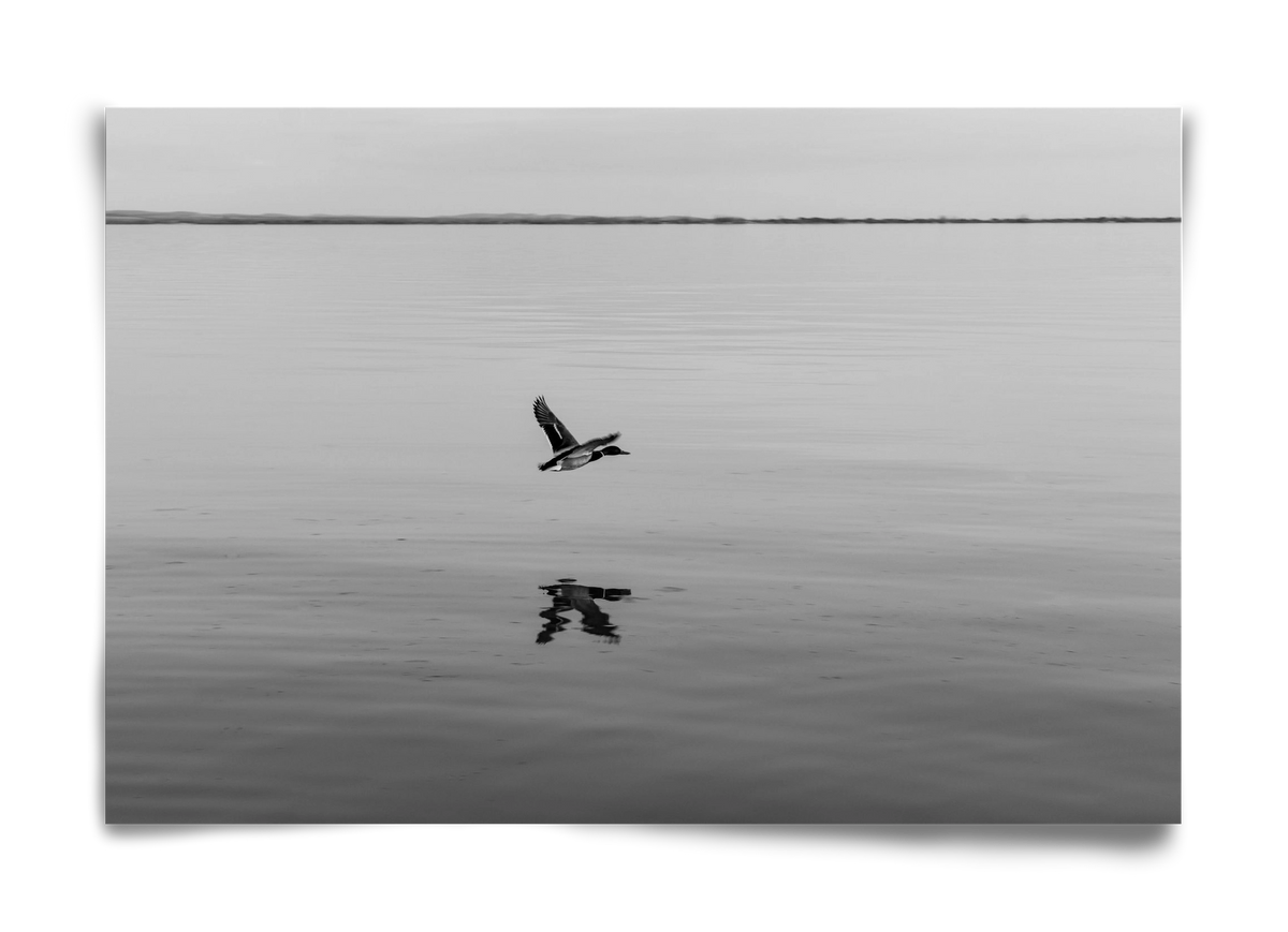 Vertigo , 60x40 cm, Keret nélkül