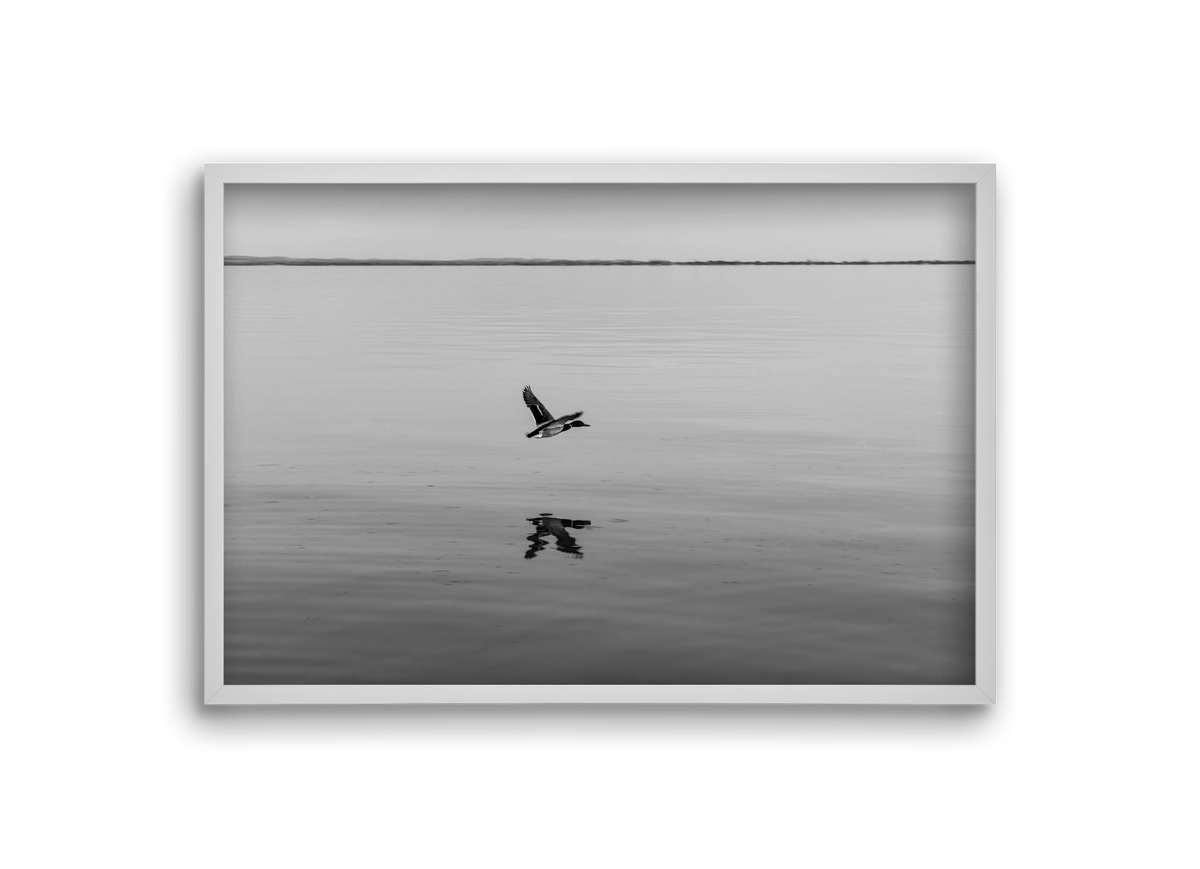 Vertigo , 30x20 cm (30x20 cm), Fehér keret