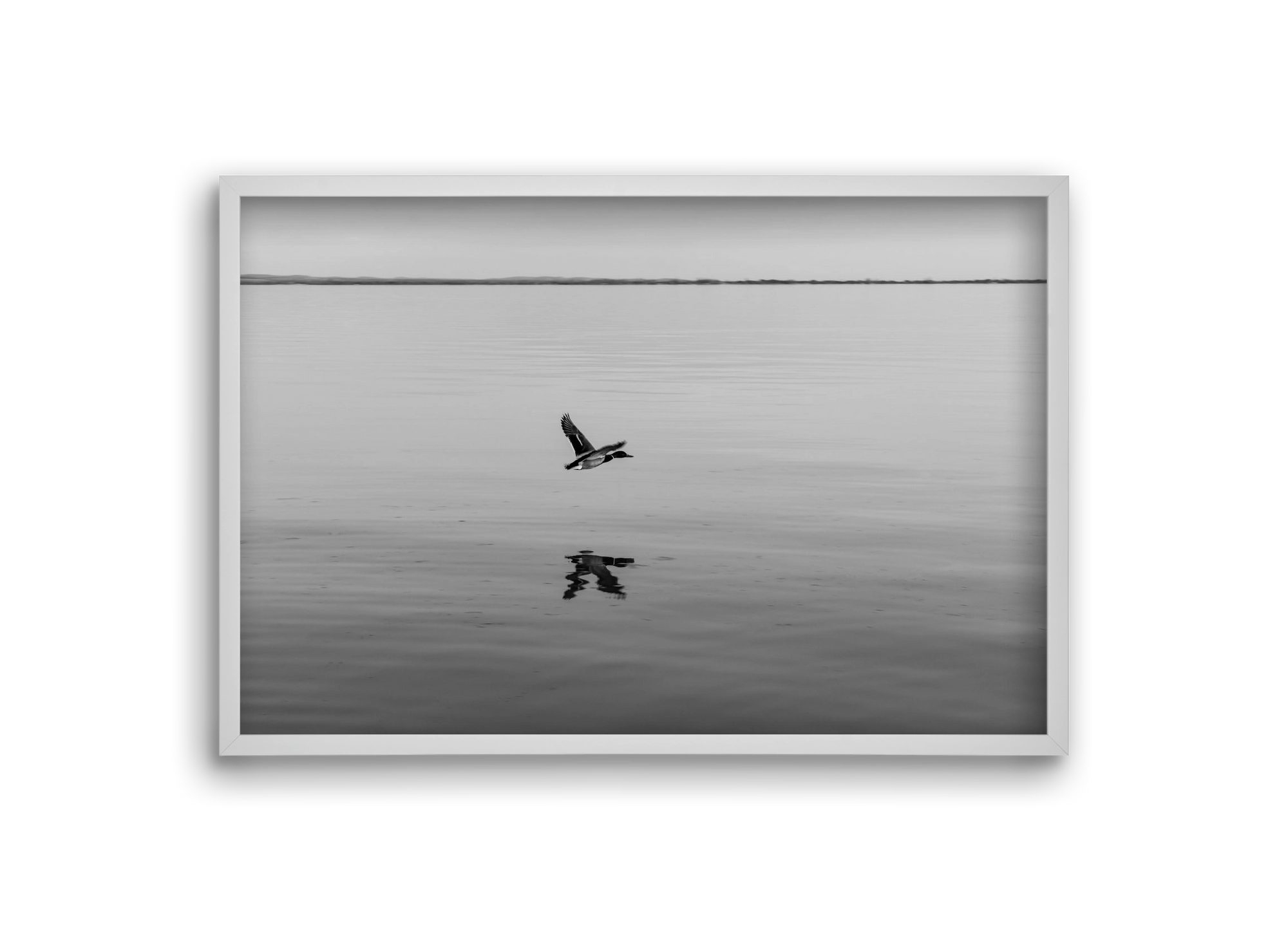 Vertigo , 30x20 cm (30x20 cm), Fehér keret