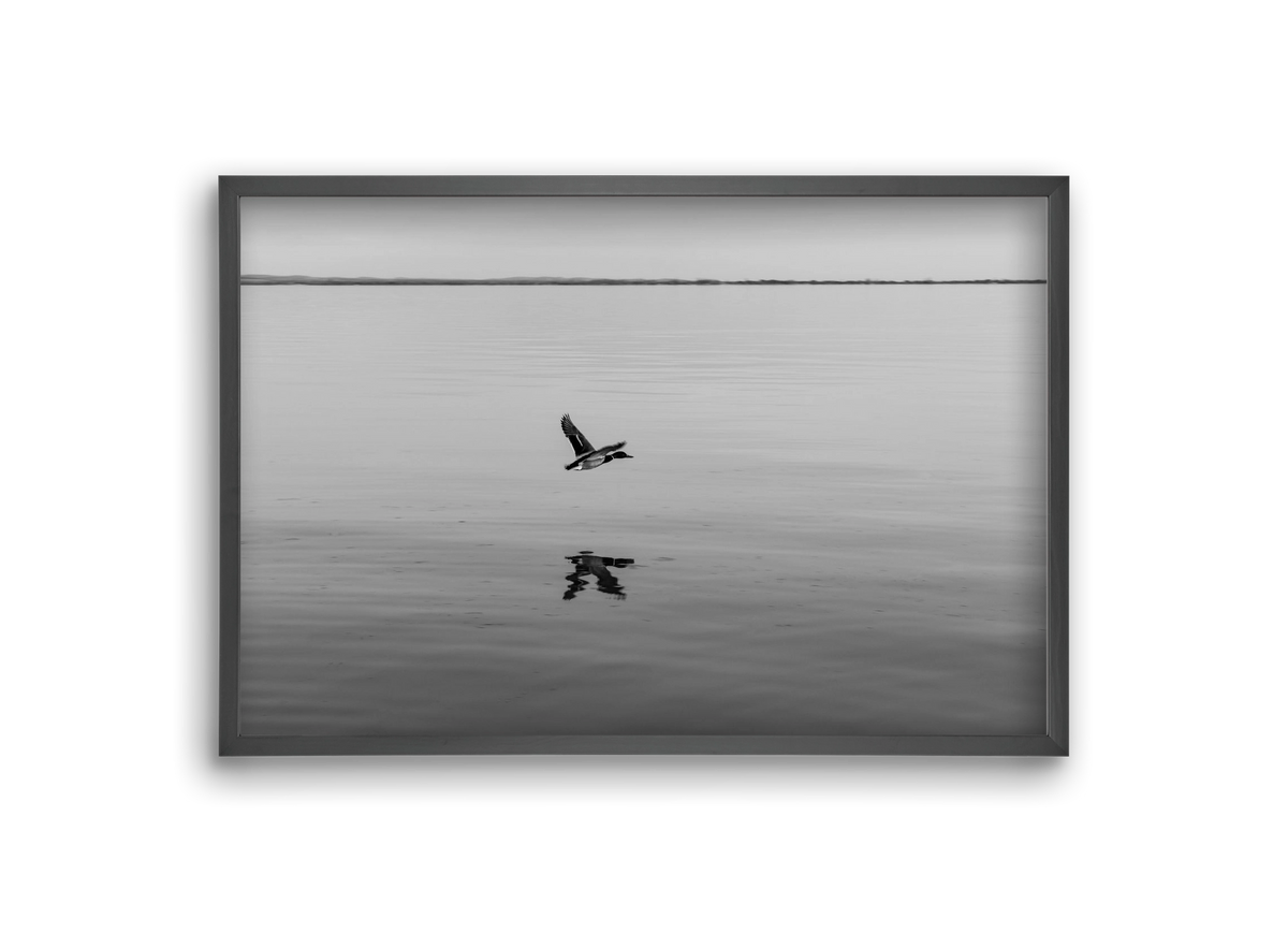 Vertigo , 30x20 cm (30x20 cm), Fekete keret