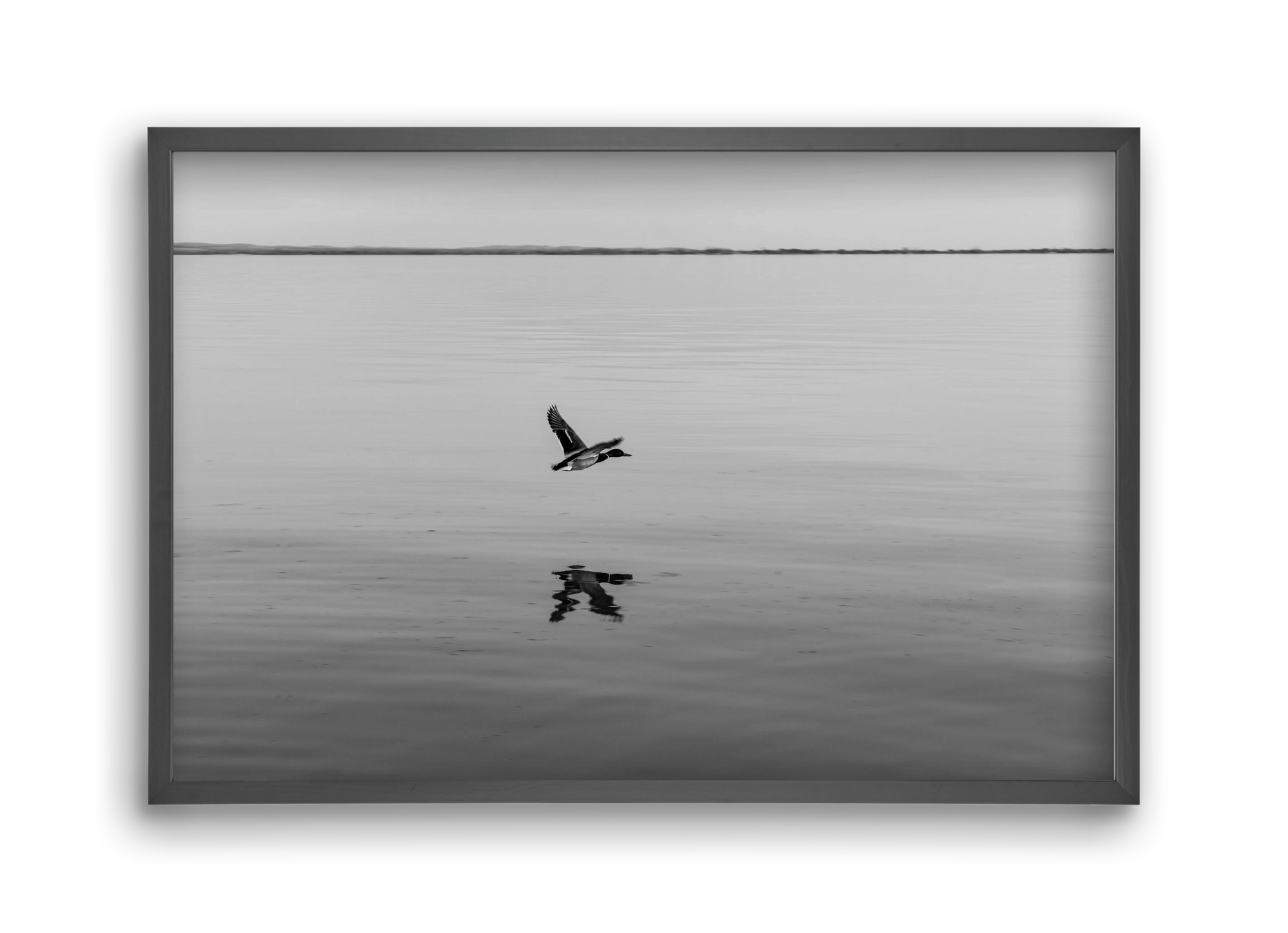 Vertigo , 45x30 cm (45x30 cm), Fekete keret