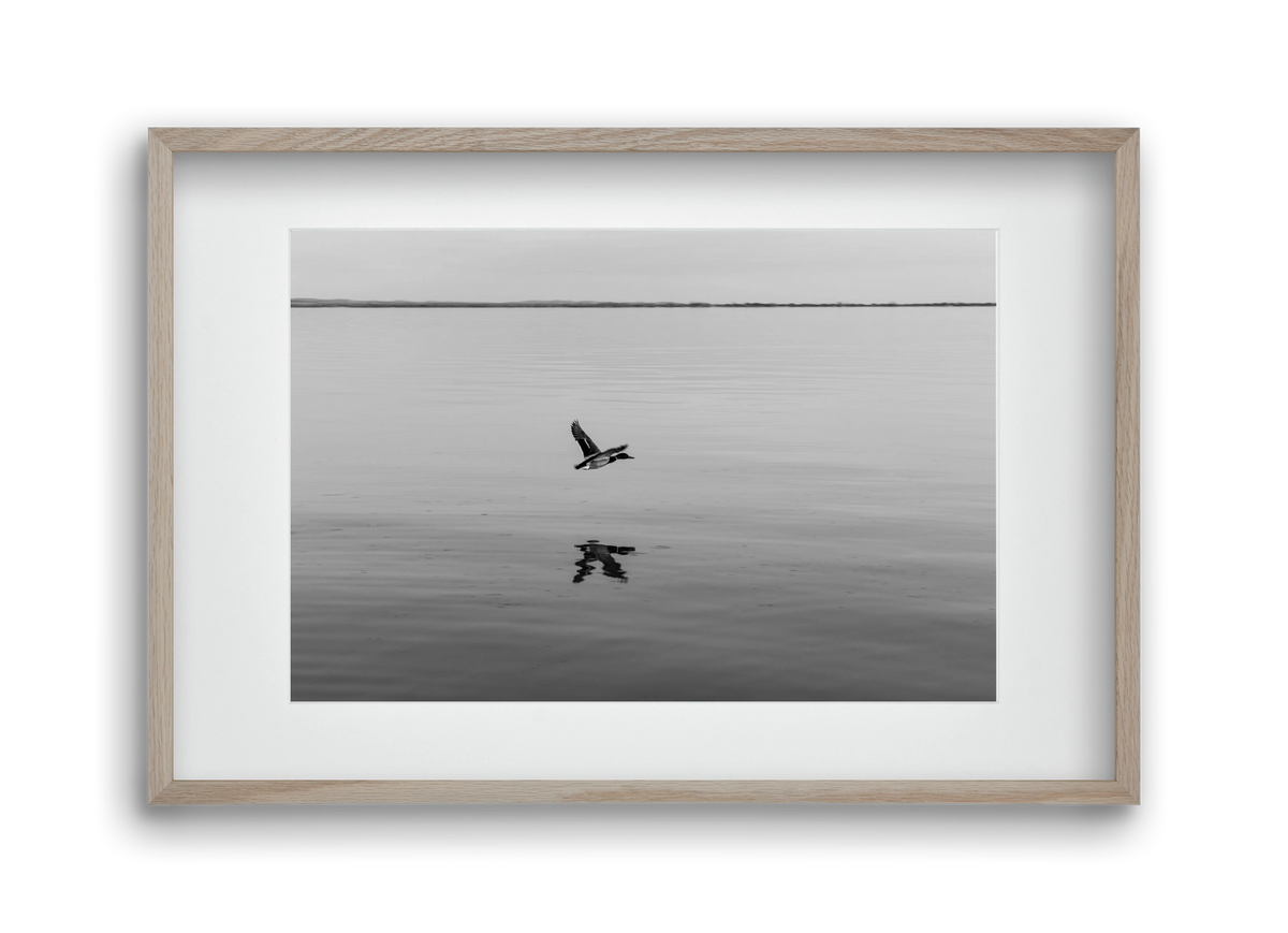 Vertigo , 45x30 cm (30x20 cm), Tölgy keret, paszpartuval