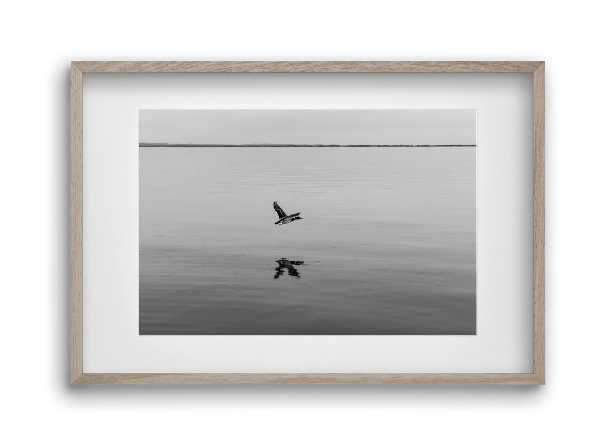 Vertigo , 45x30 cm (30x20 cm), Tölgy keret, paszpartuval