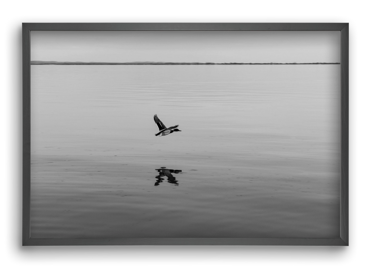 Vertigo , 60x40 cm (60x40 cm), Fekete keret
