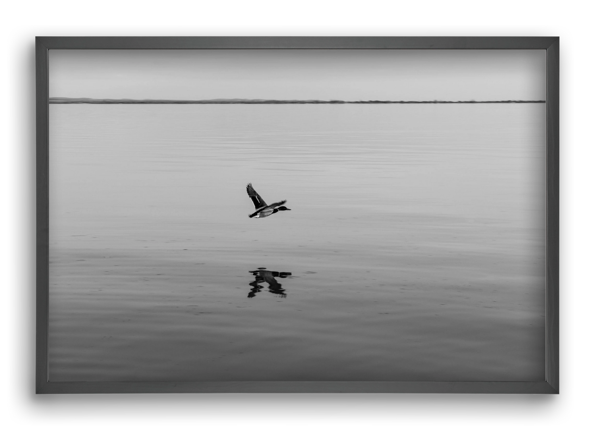 Vertigo , 60x40 cm (60x40 cm), Fekete keret