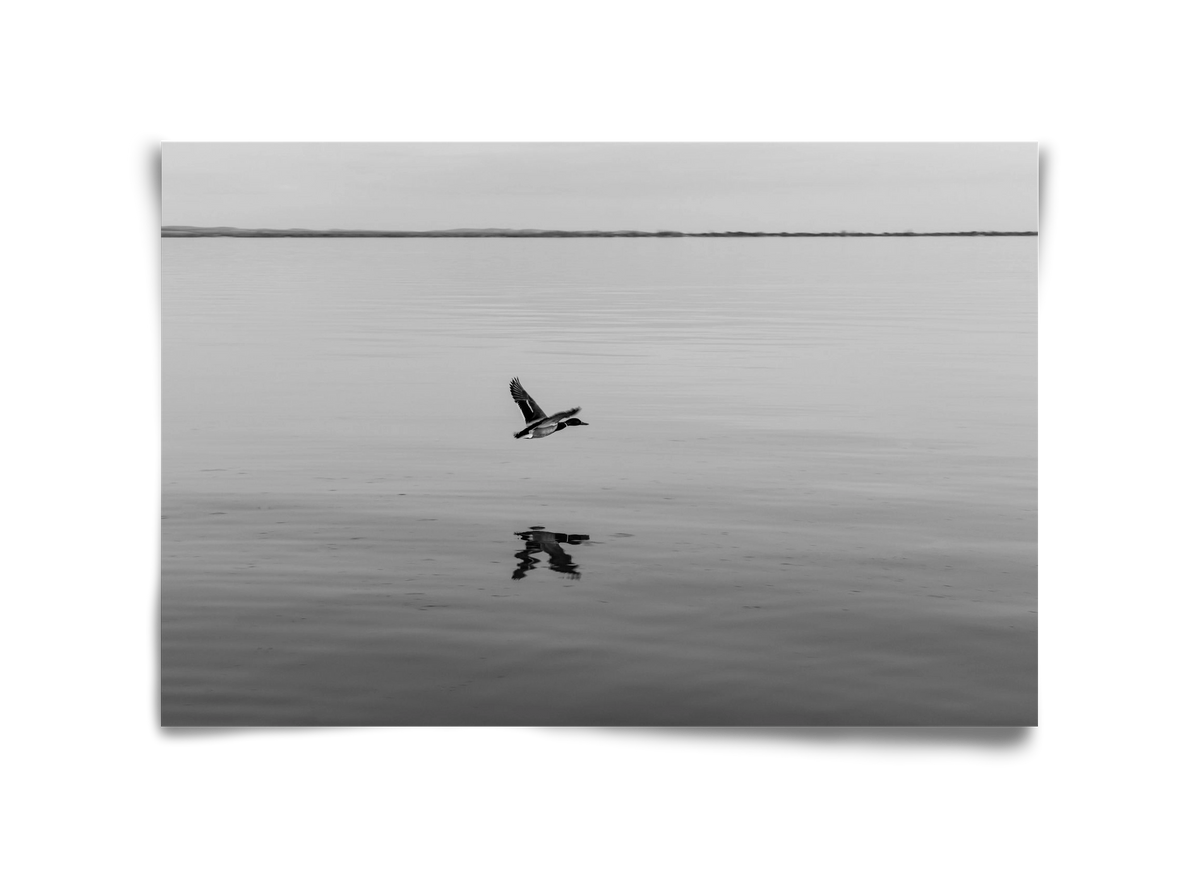 Vertigo , 45x30 cm, Keret nélkül