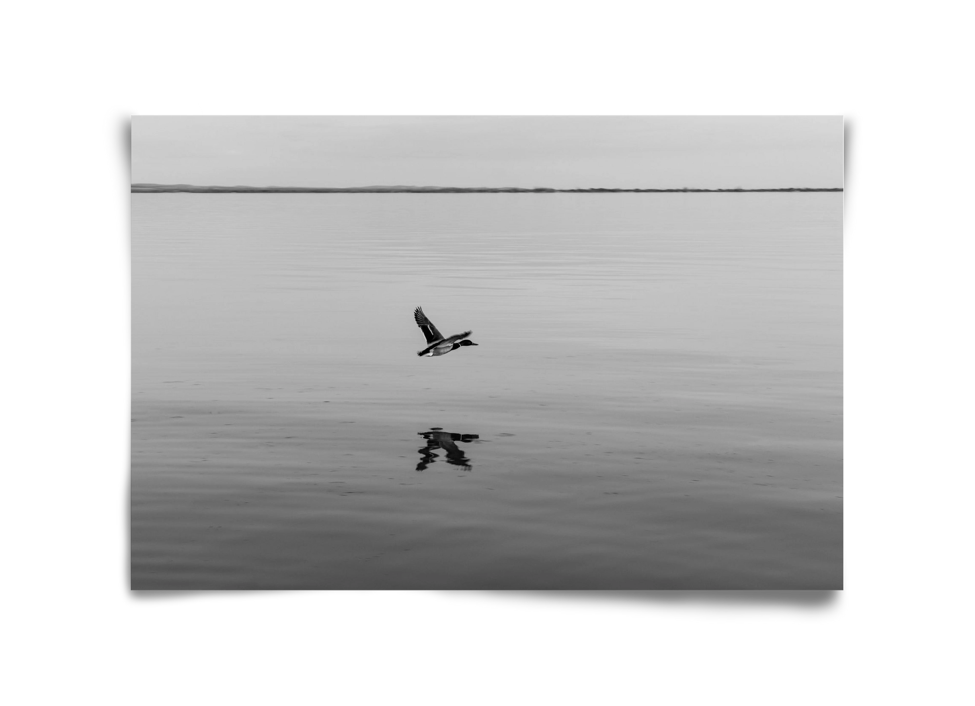 Vertigo , 45x30 cm, Keret nélkül