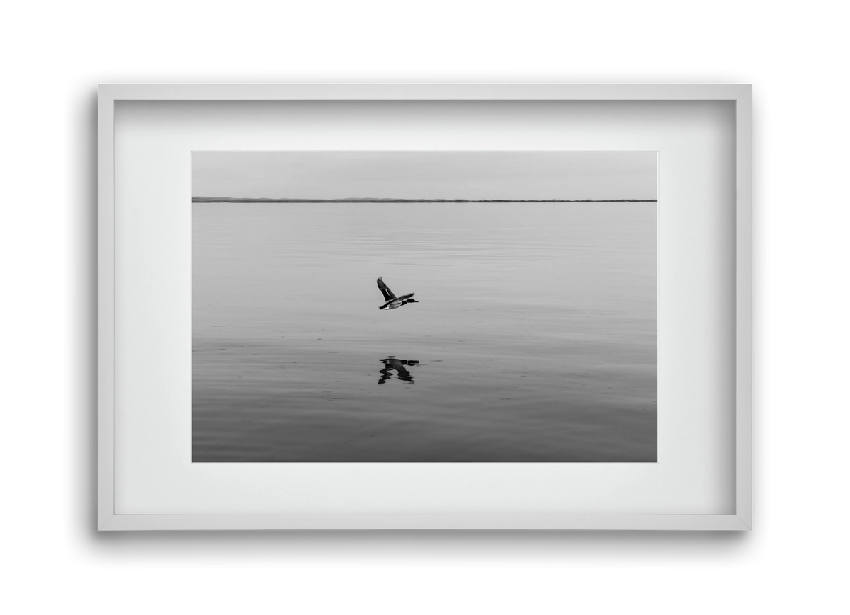 Vertigo , 45x30 cm (30x20 cm), Fehér keret, paszpartuval