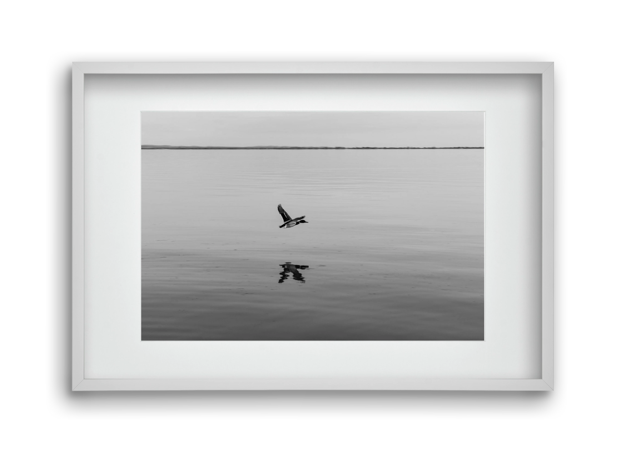 Vertigo , 45x30 cm (30x20 cm), Fehér keret, paszpartuval