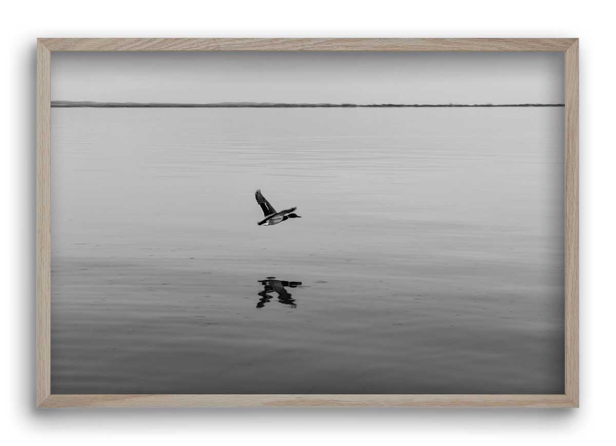 Vertigo , 60x40 cm (60x40 cm), Tölgy keret