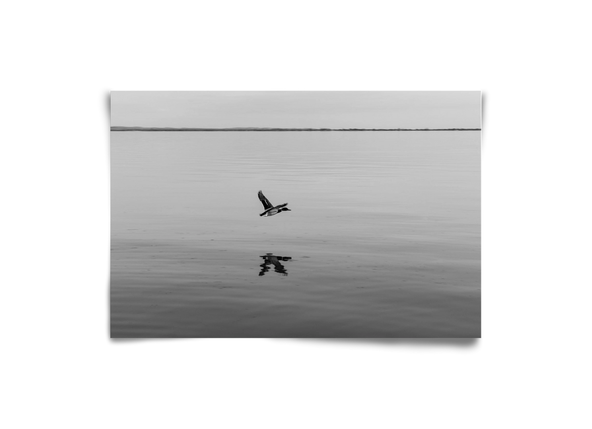 Vertigo , 30x20 cm, Keret nélkül