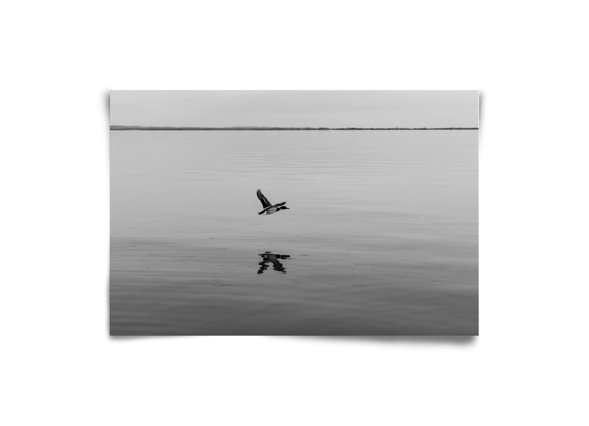 Vertigo , 30x20 cm, Keret nélkül