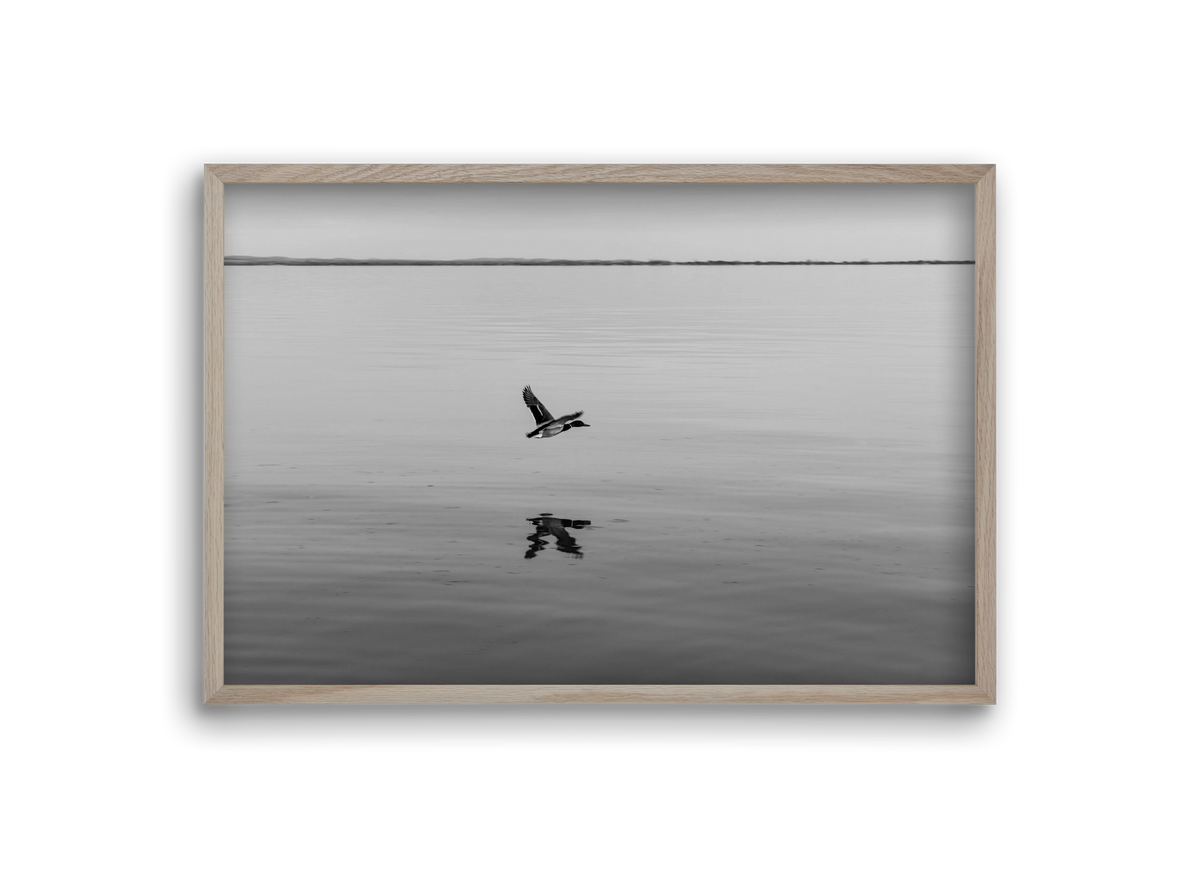 Vertigo , 30x20 cm (30x20 cm), Tölgy keret