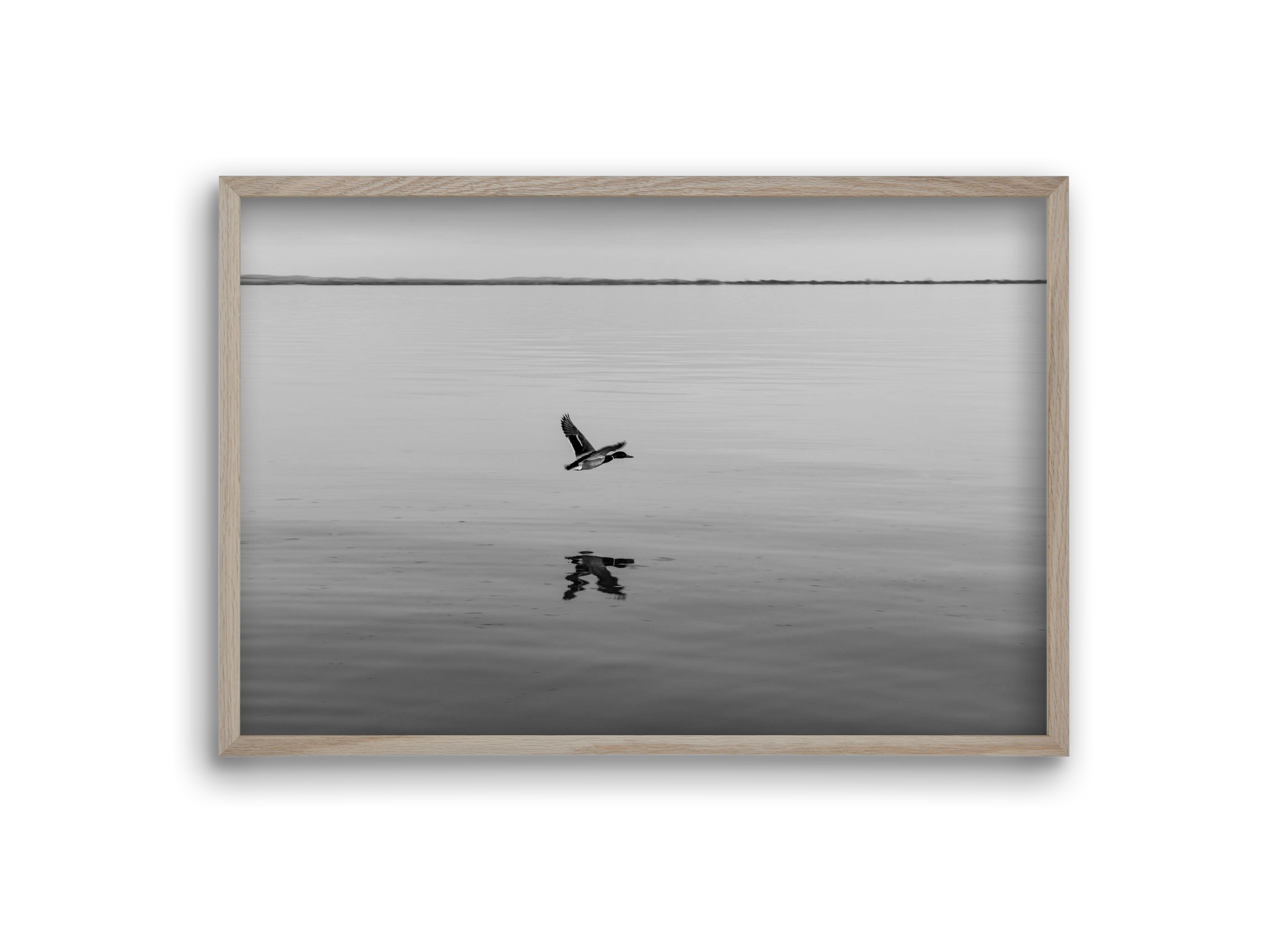 Vertigo , 30x20 cm (30x20 cm), Tölgy keret