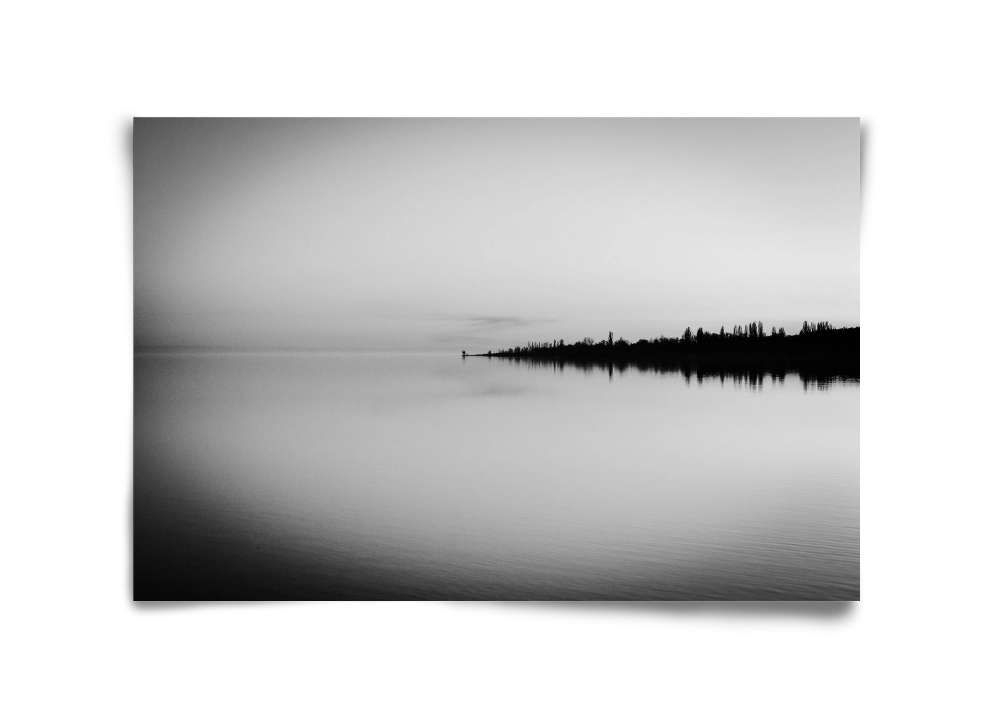 Toro, 45x30 cm, Keret nélkül