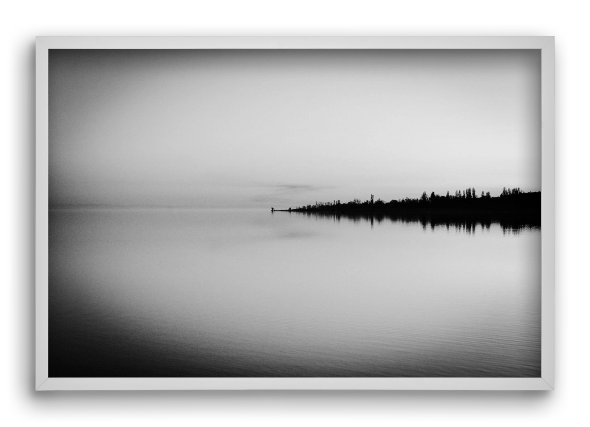 Toro, 60x40 cm (60x40 cm), Fehér keret