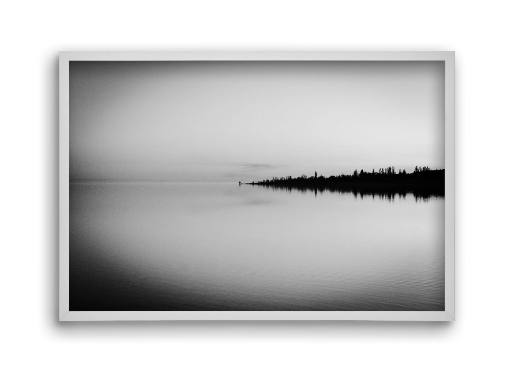 Toro, 45x30 cm (45x30 cm), Fehér keret