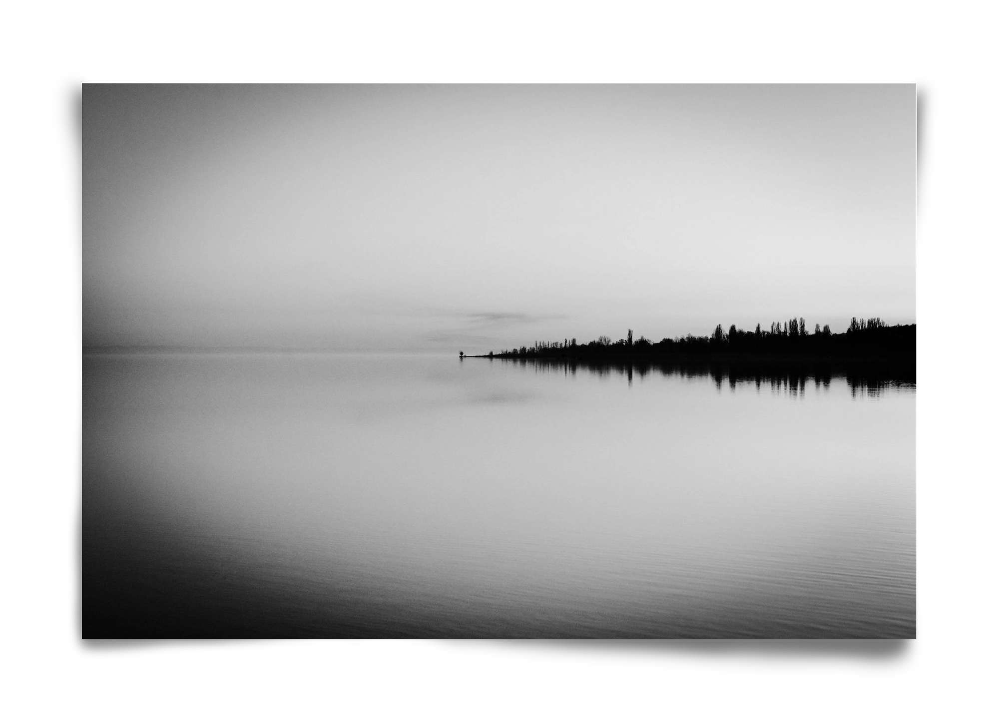 Toro, 60x40 cm, Keret nélkül