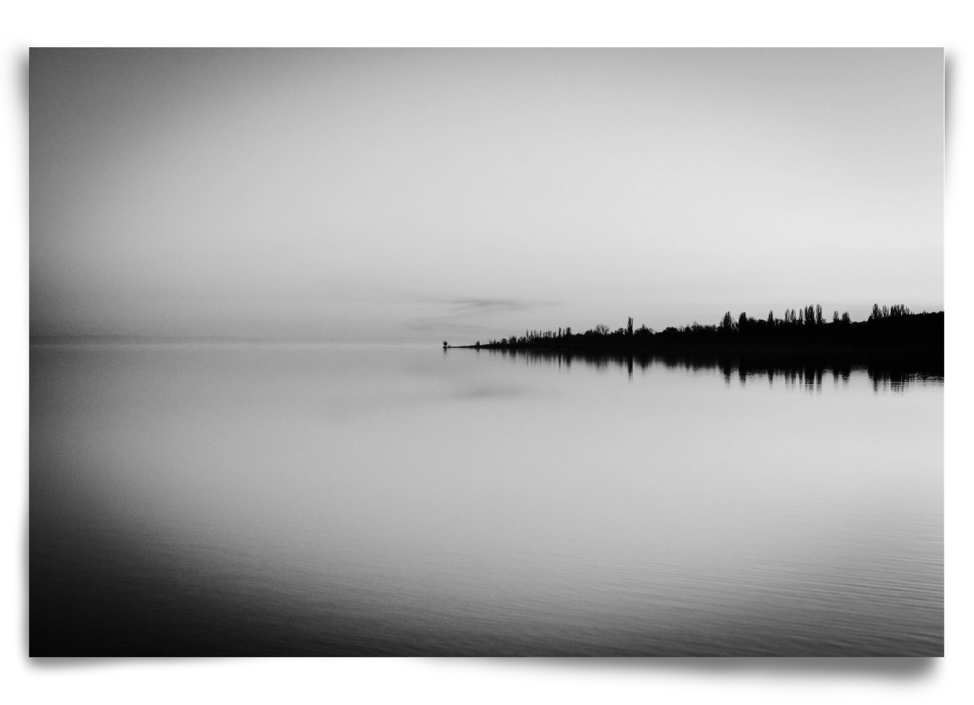 Toro, 90x60 cm, Keret nélkül