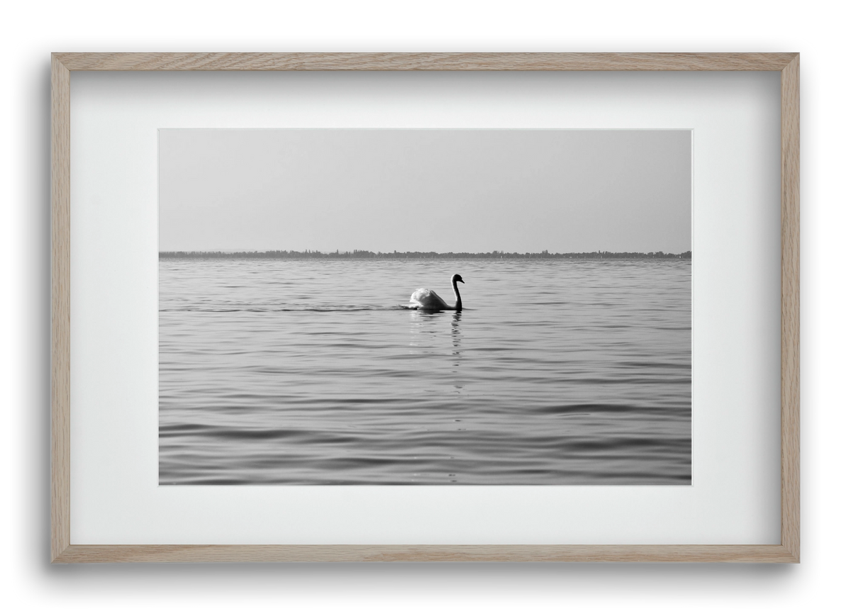 Sella , 60x40 cm (45x30 cm), Tölgy keret, paszpartuval