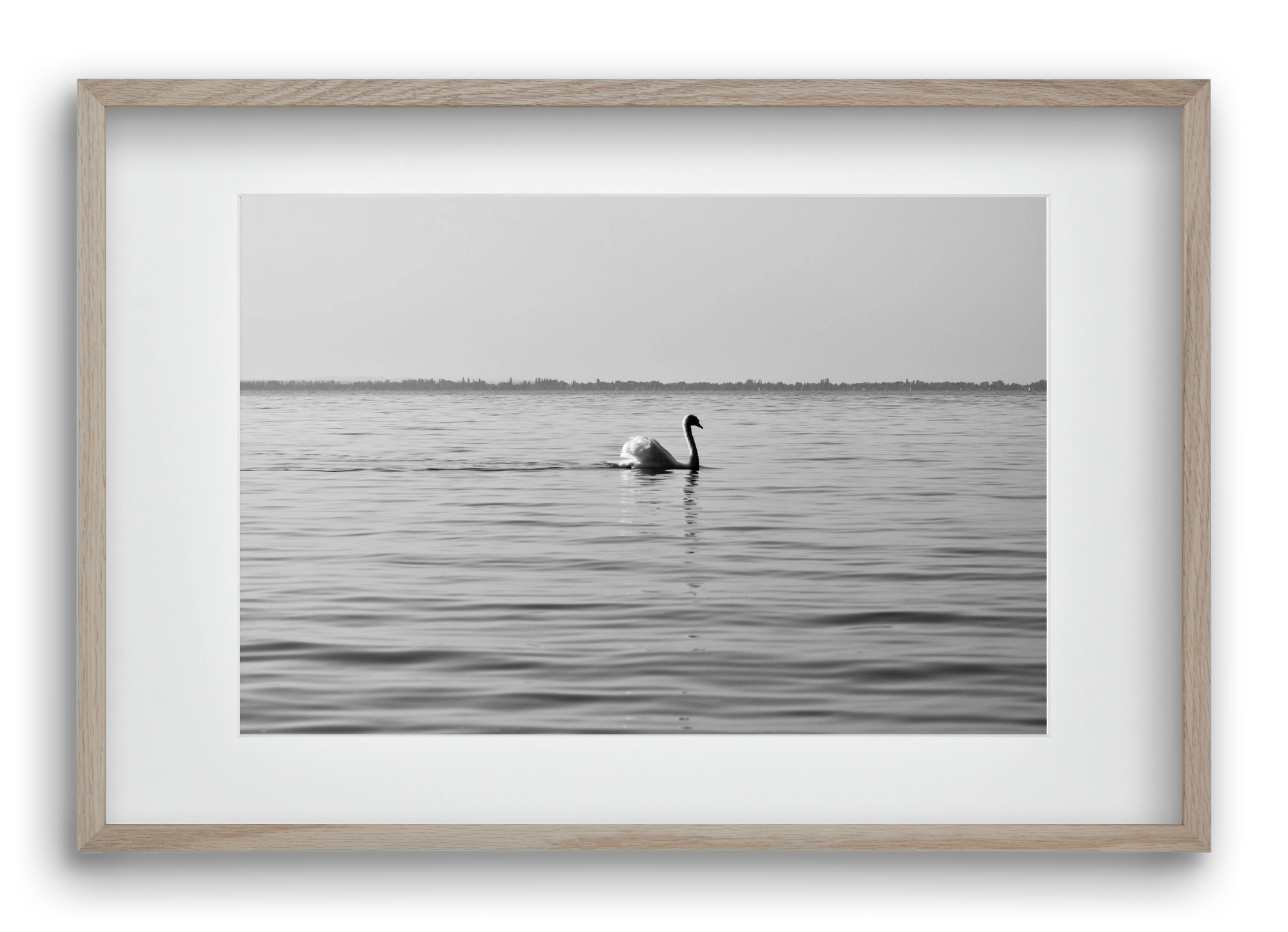 Sella , 60x40 cm (45x30 cm), Tölgy keret, paszpartuval