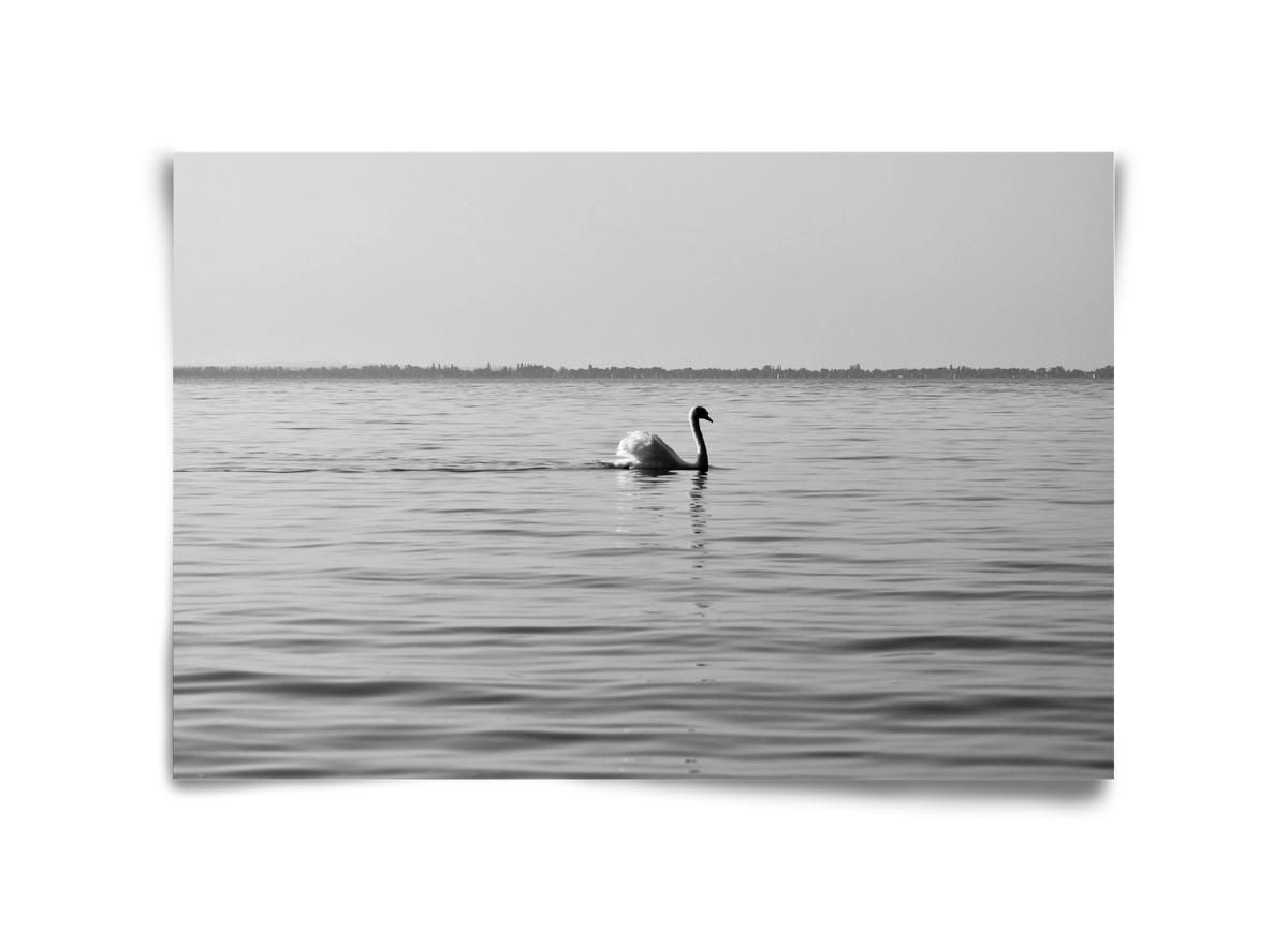 Sella , 45x30 cm, Keret nélkül