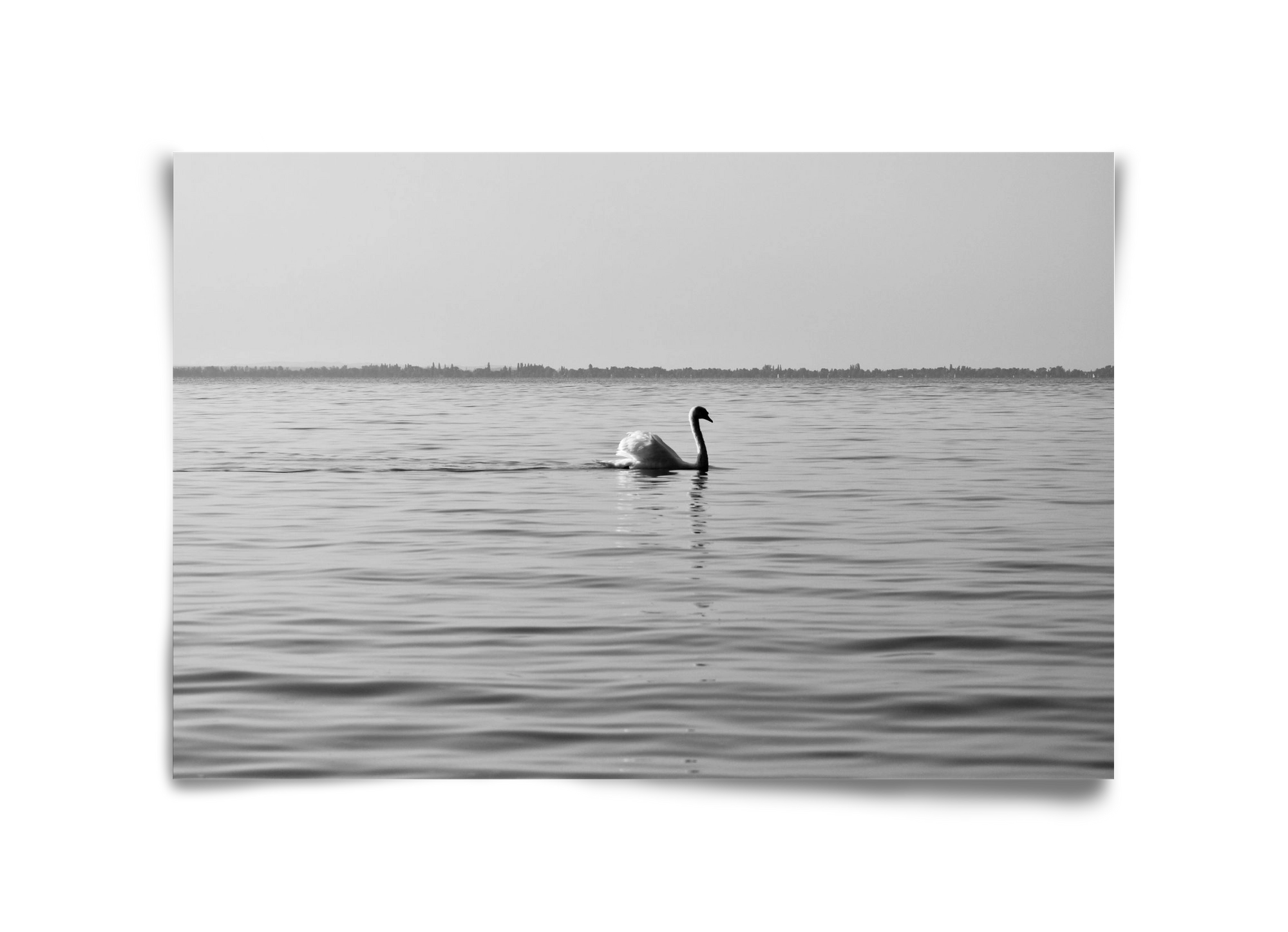 Sella , 45x30 cm, Keret nélkül