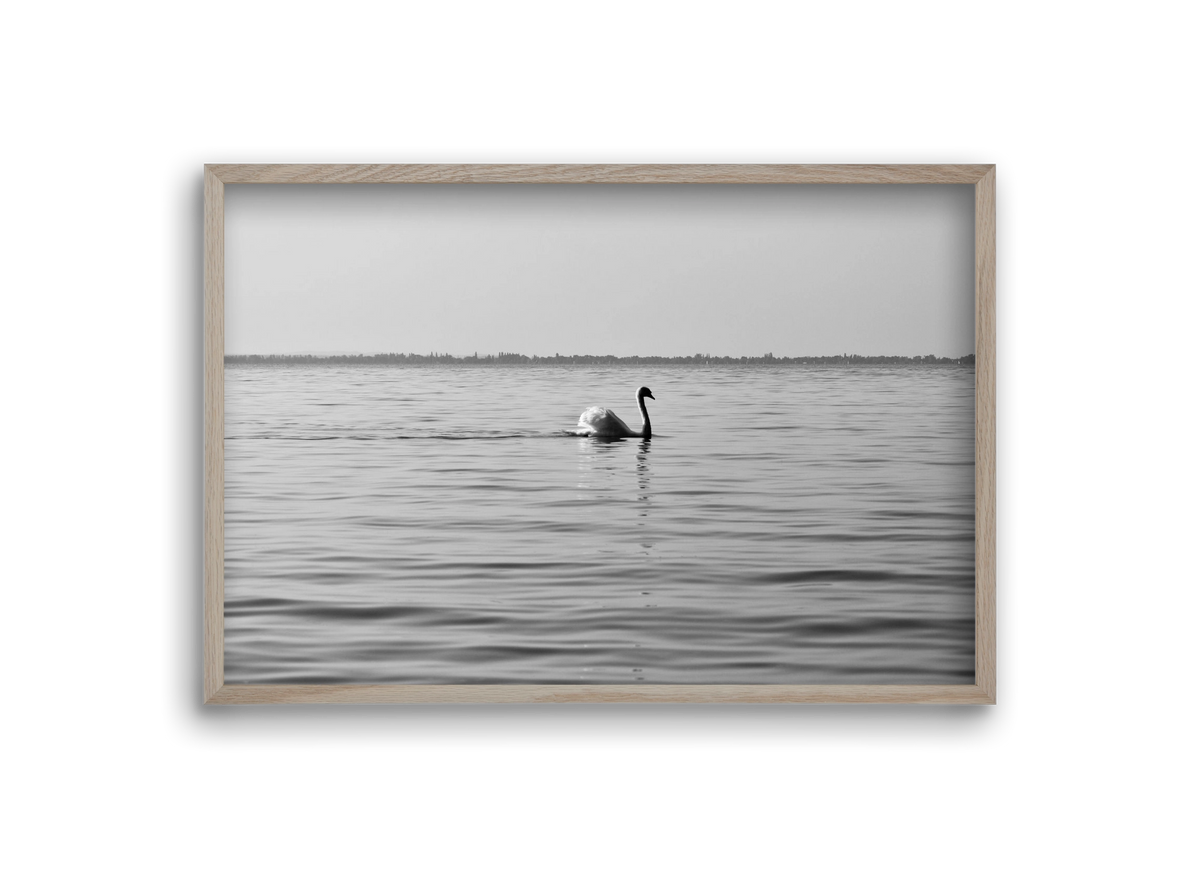 Sella , 30x20 cm (30x20 cm), Tölgy keret