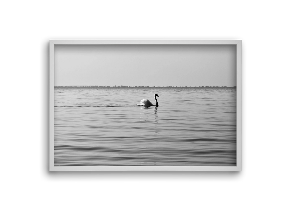 Sella , 30x20 cm (30x20 cm), Fehér keret