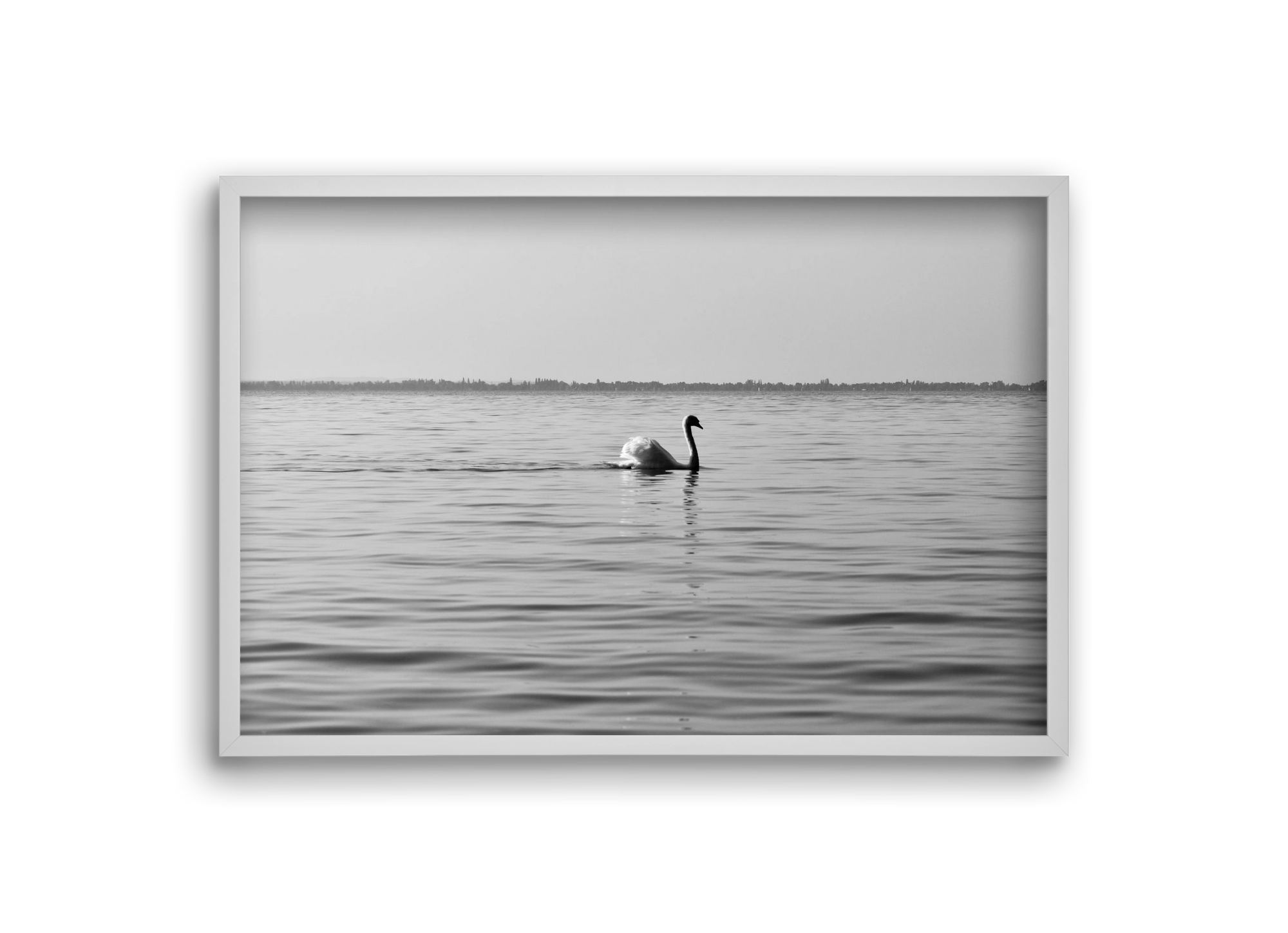 Sella , 30x20 cm (30x20 cm), Fehér keret