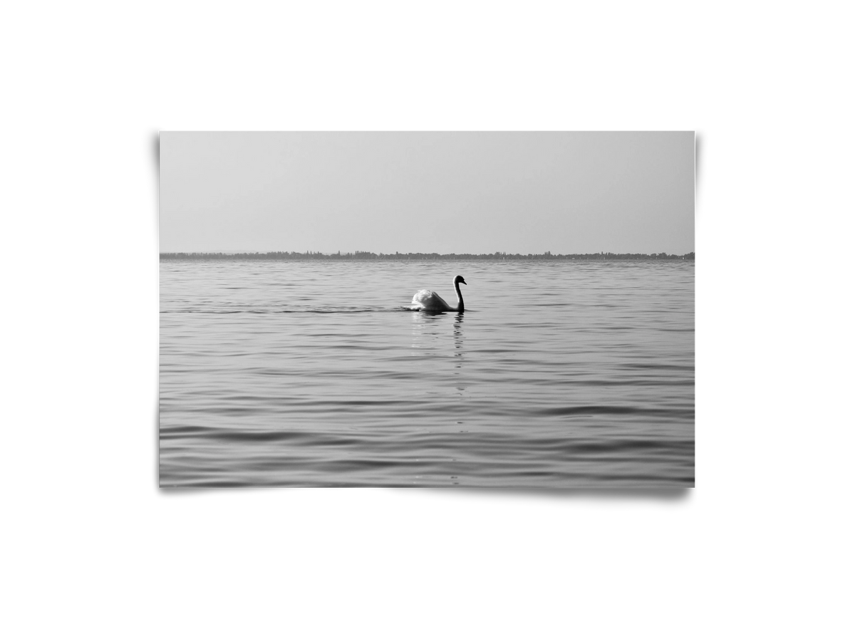 Sella , 30x20 cm, Keret nélkül