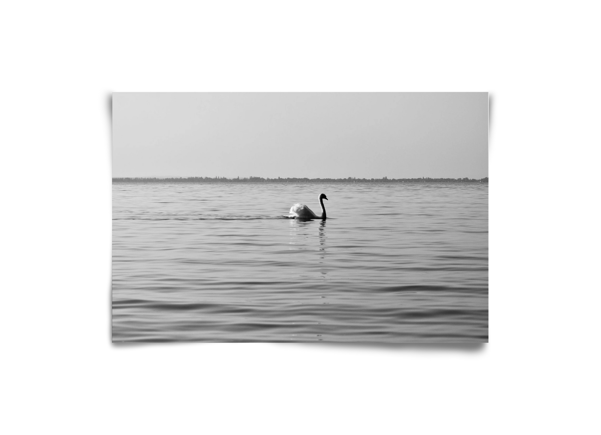 Sella , 30x20 cm, Keret nélkül