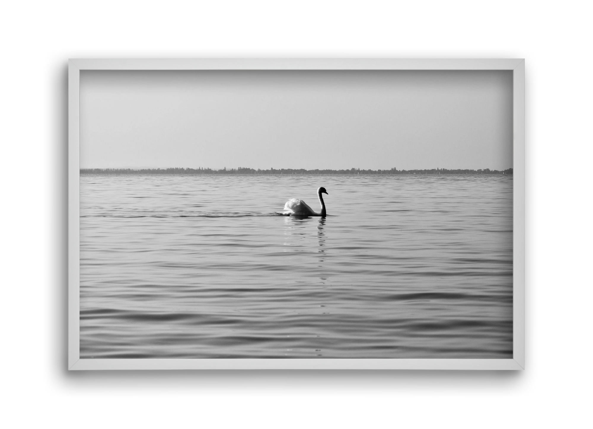 Sella , 45x30 cm (45x30 cm), Fehér keret