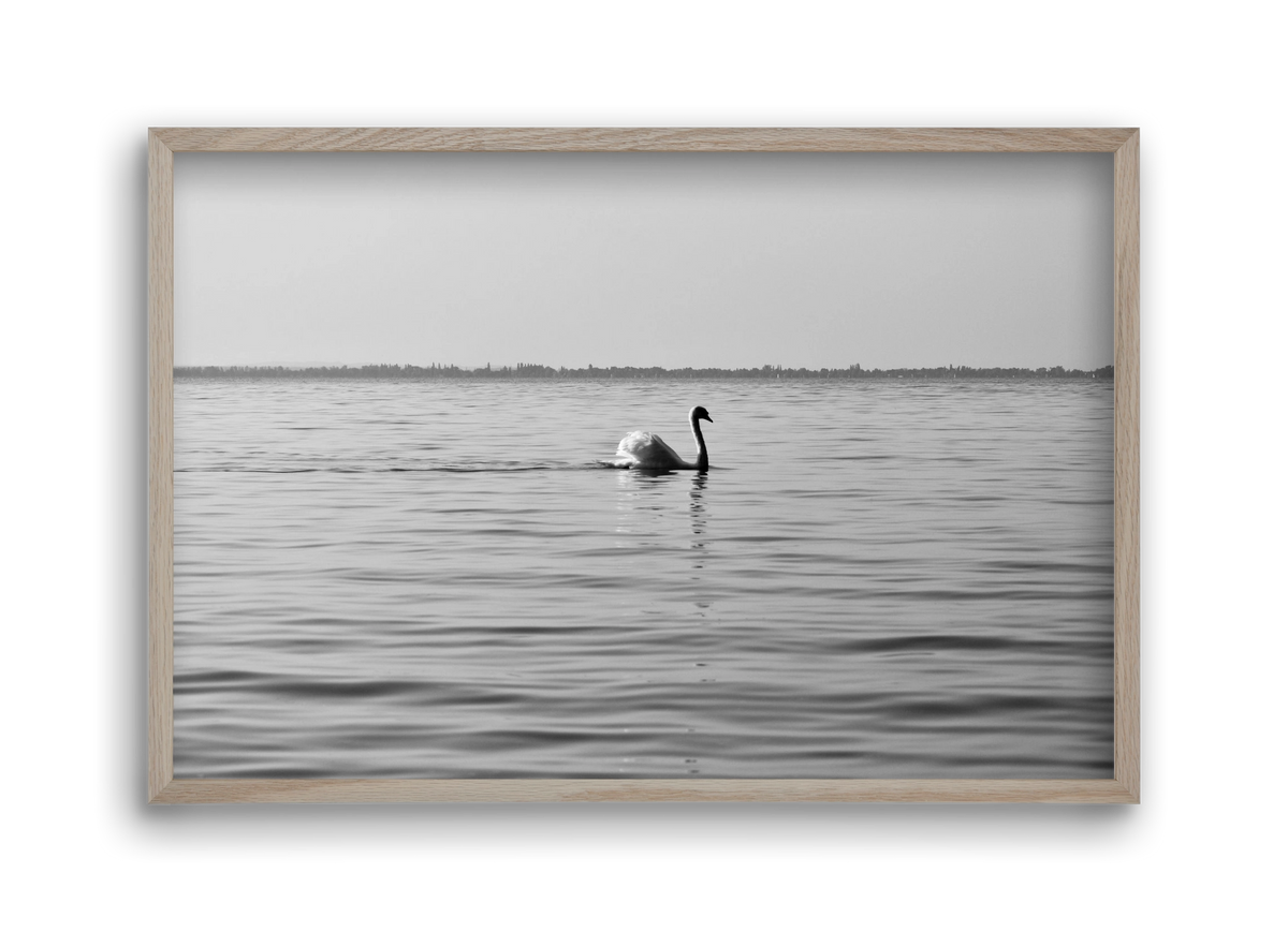 Sella , 45x30 cm (45x30 cm), Tölgy keret