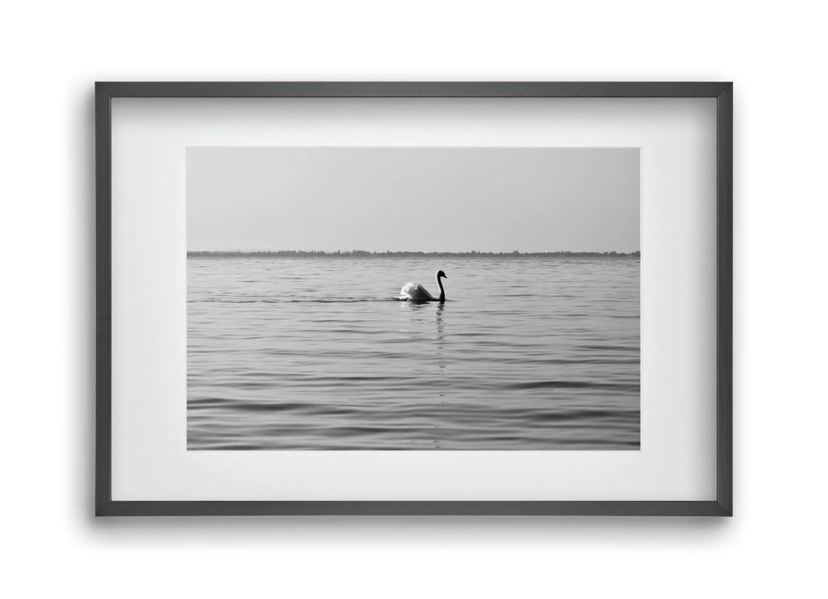 Sella , 45x30 cm (30x20 cm), Fekete keret, paszpartuval