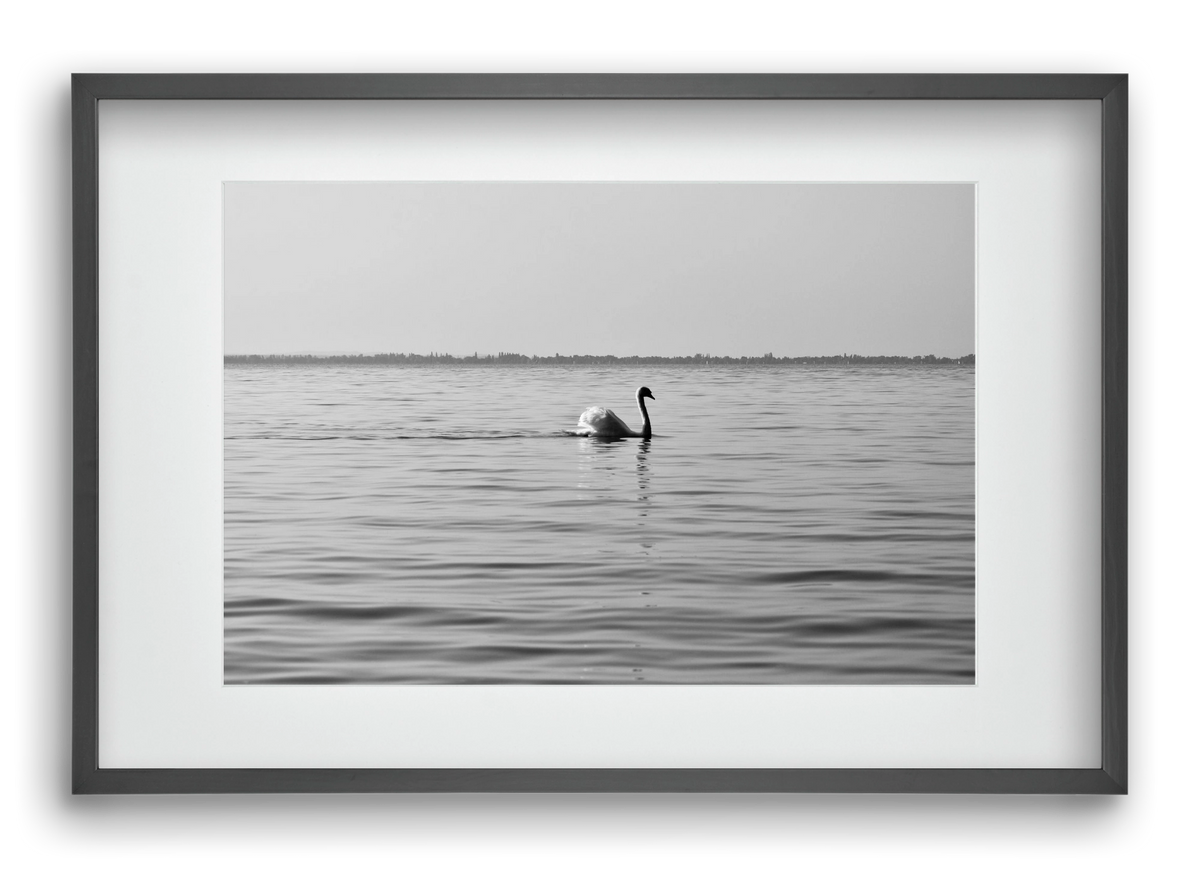 Sella , 60x40 cm (45x30 cm), Fekete keret, paszpartuval