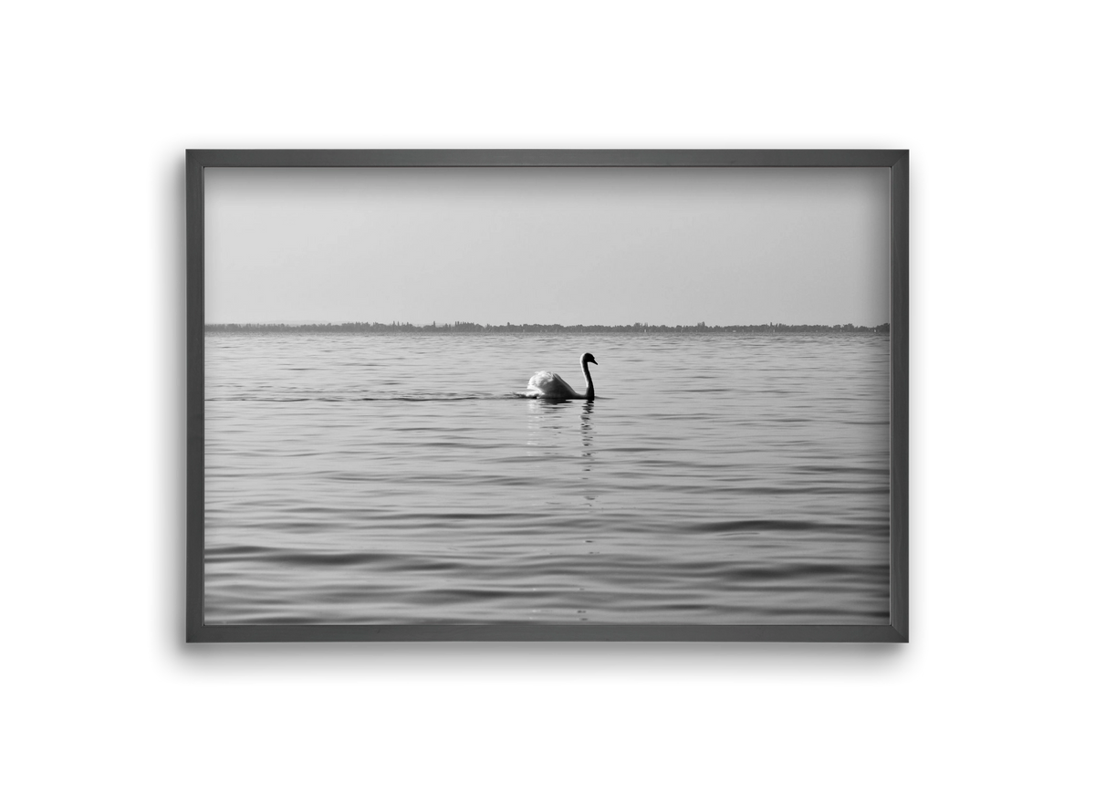 Sella , 30x20 cm (30x20 cm), Fekete keret