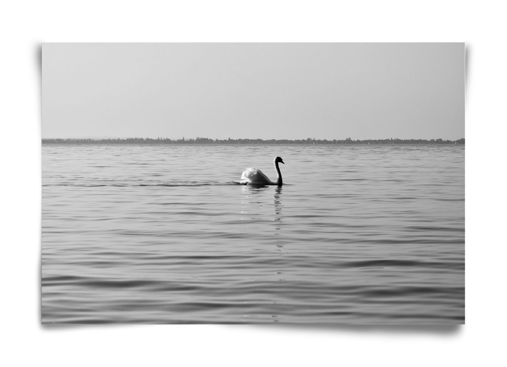 Sella , 60x40 cm, Keret nélkül