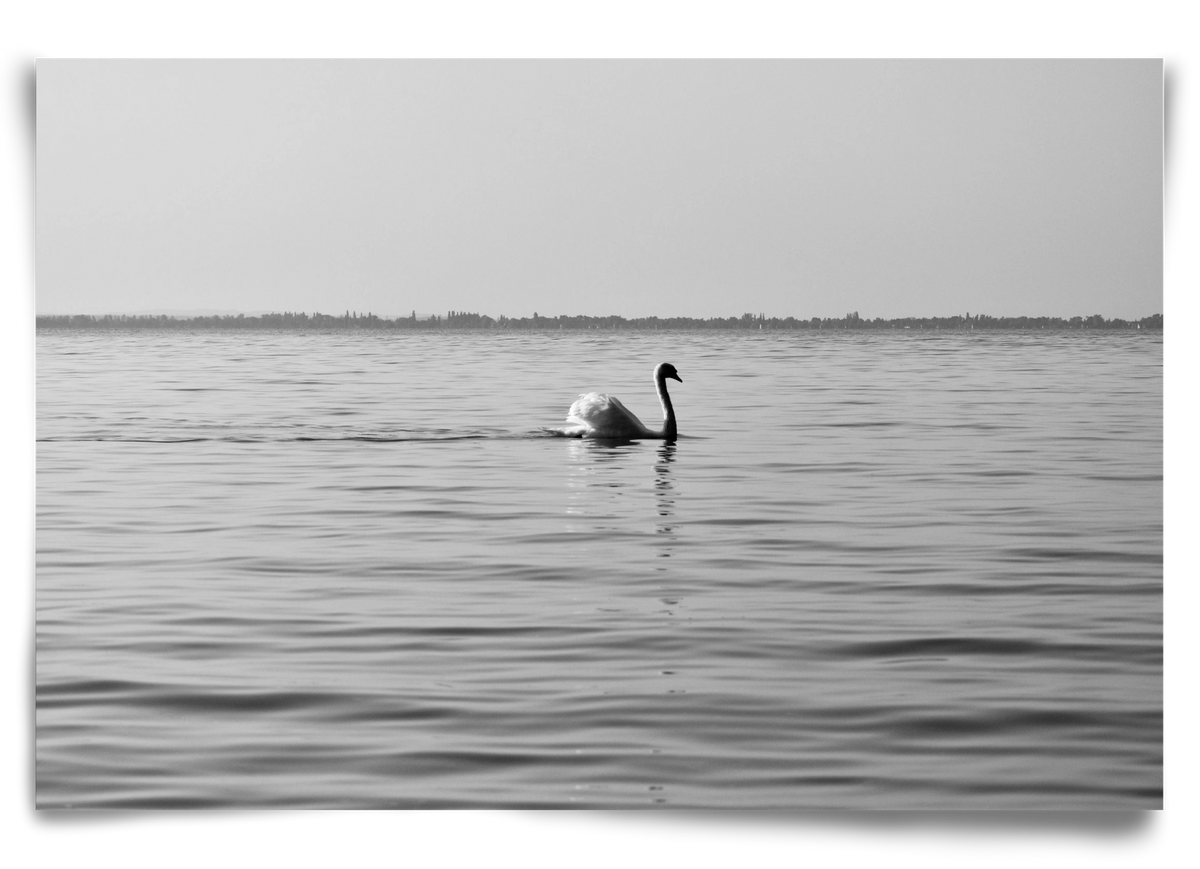 Sella , 90x60 cm, Keret nélkül