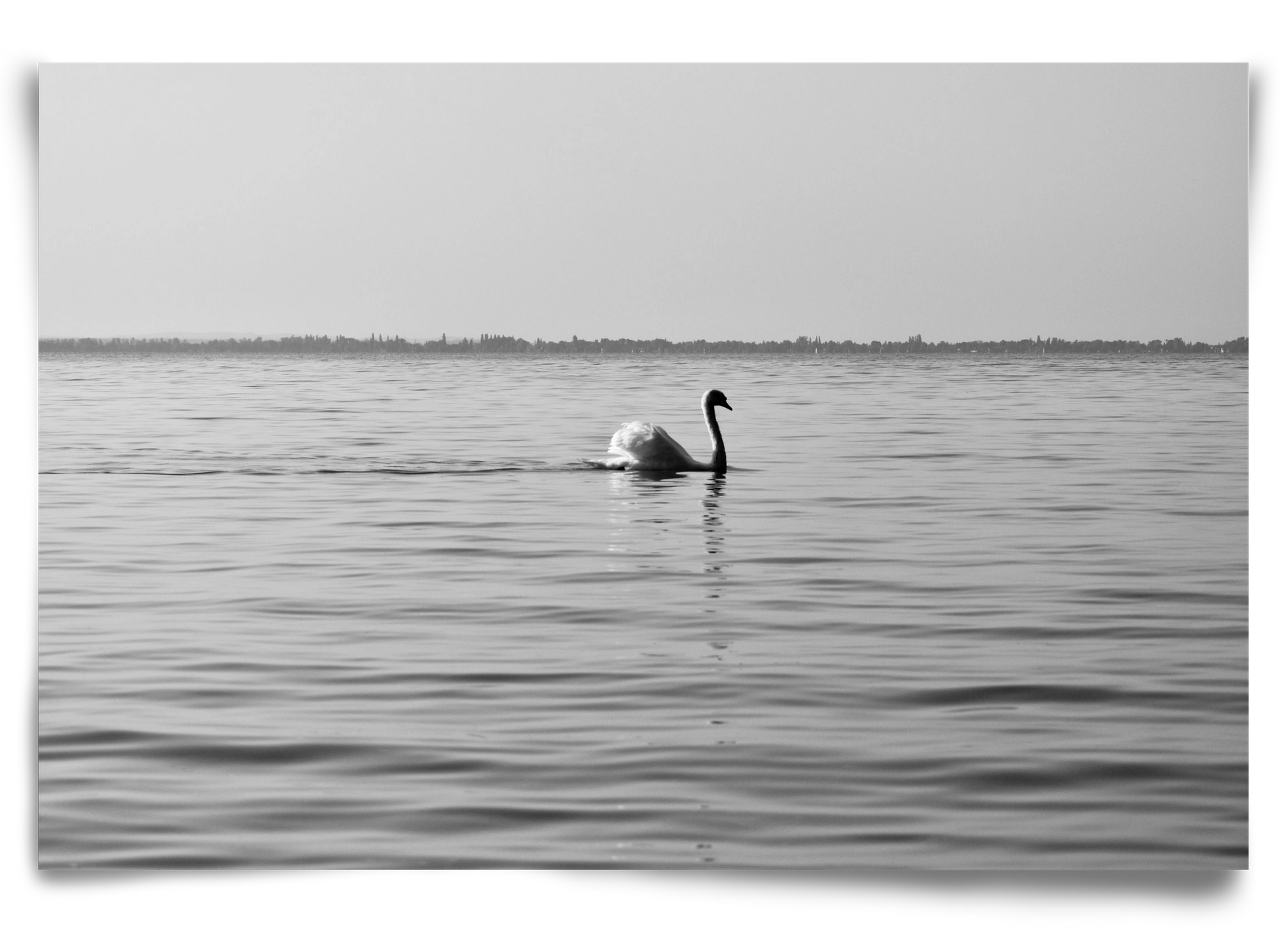 Sella , 90x60 cm, Keret nélkül