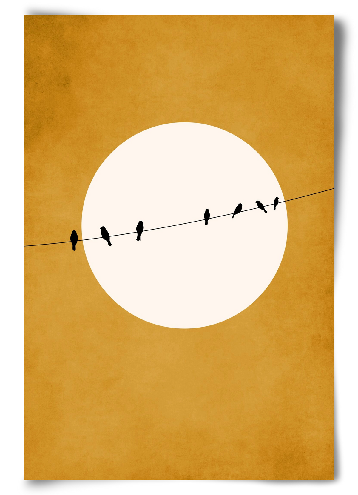 Chirping and Chilling at Night, 60x90 cm, Keret nélkül