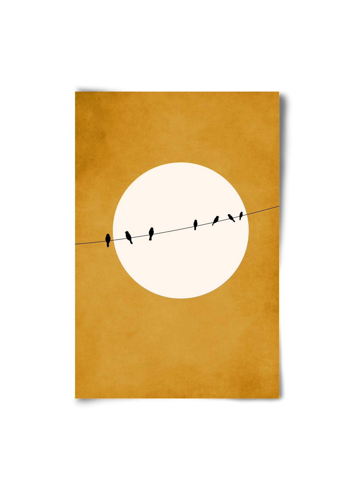 Chirping and Chilling at Night, 20x30 cm, Keret nélkül