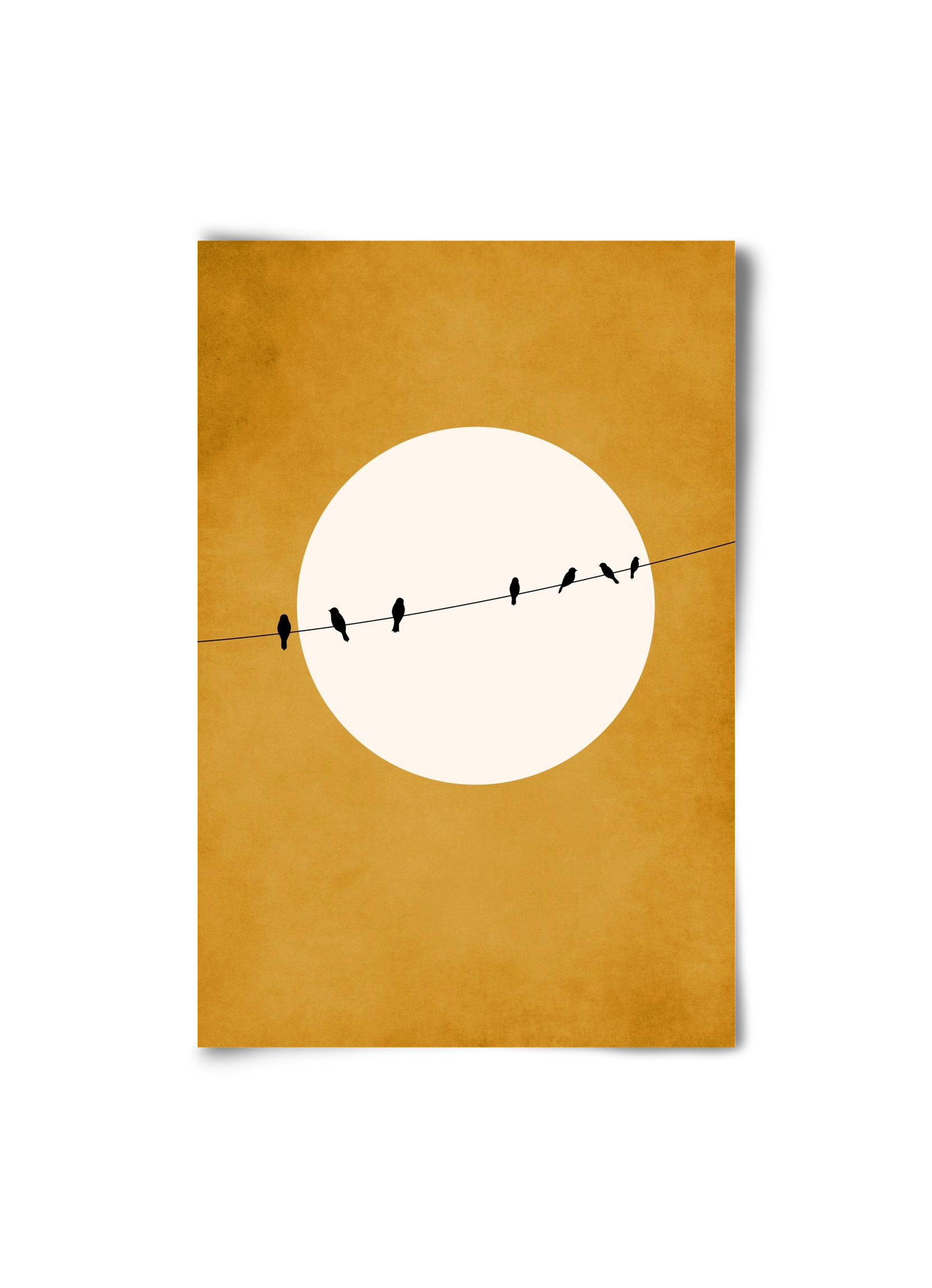 Chirping and Chilling at Night, 20x30 cm, Keret nélkül