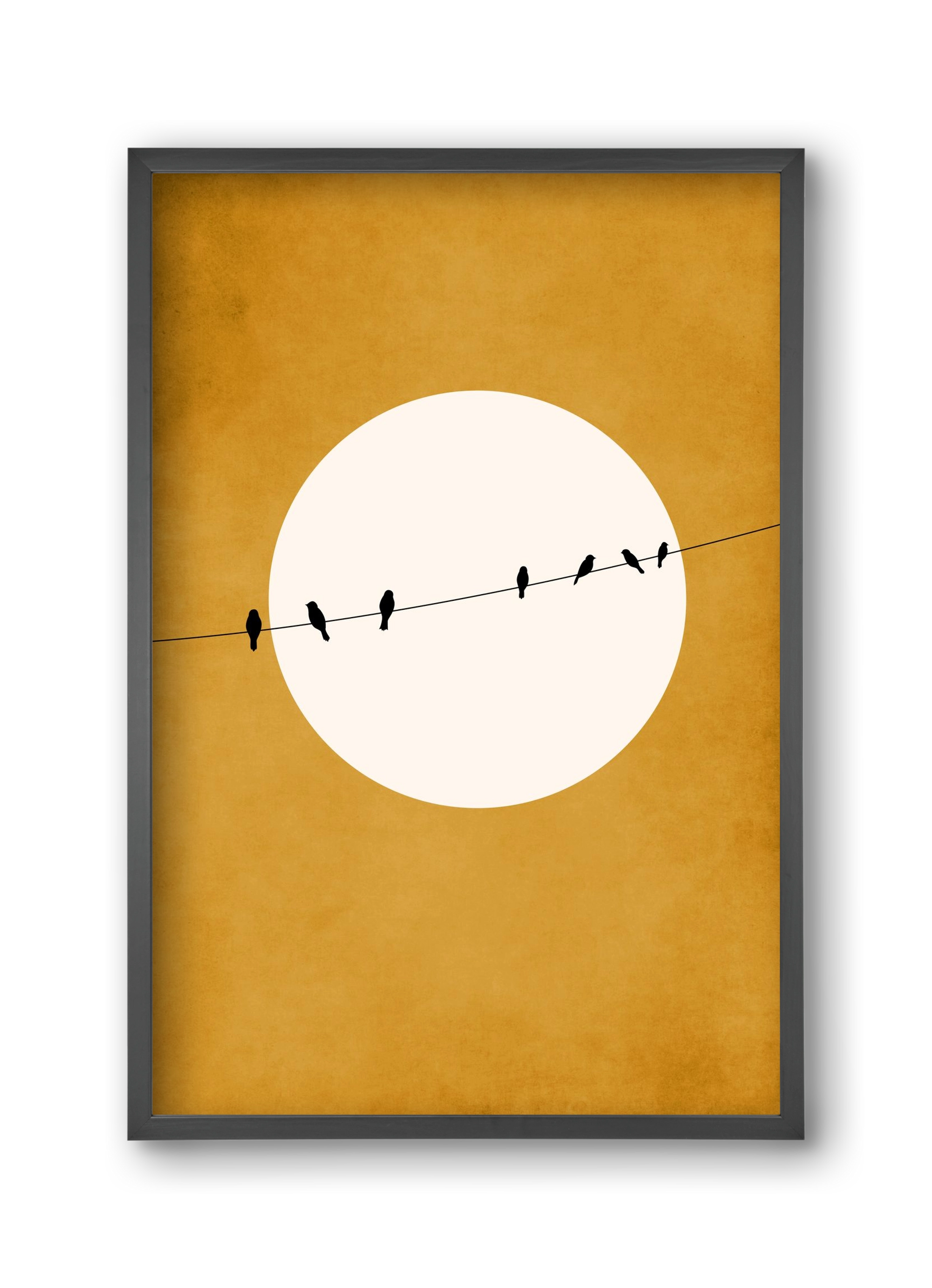 Chirping and Chilling at Night, 30x45 cm (30x45 cm), Fekete keret